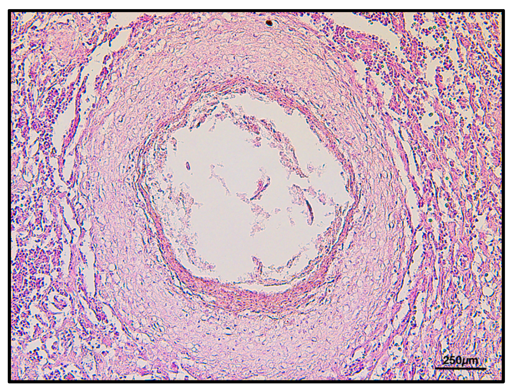 Animals 11 03449 g005 Animals 11 03449 g005