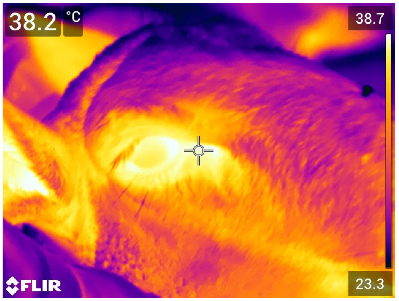 Animals 11 03464 g003