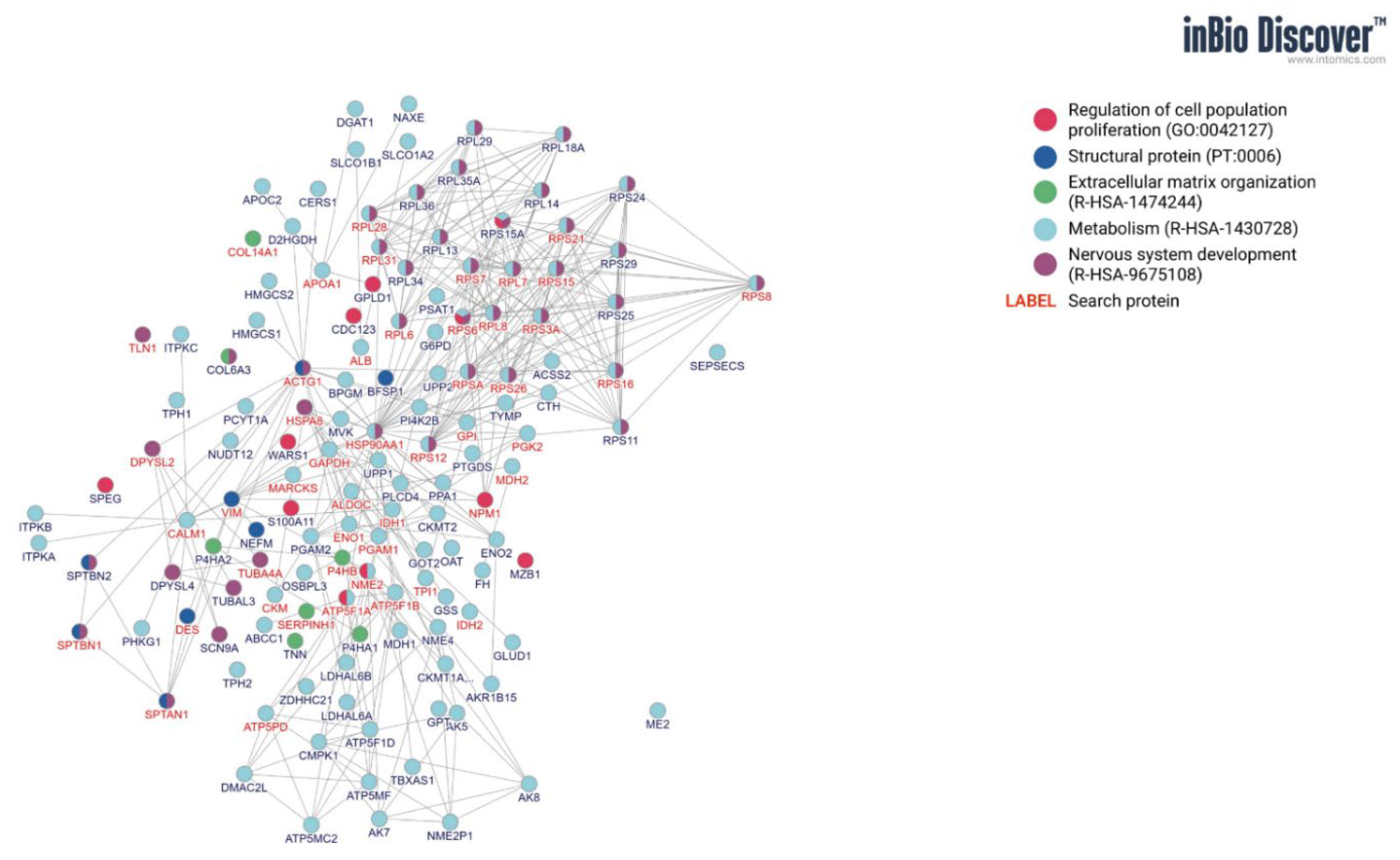 Animals 11 03467 g002