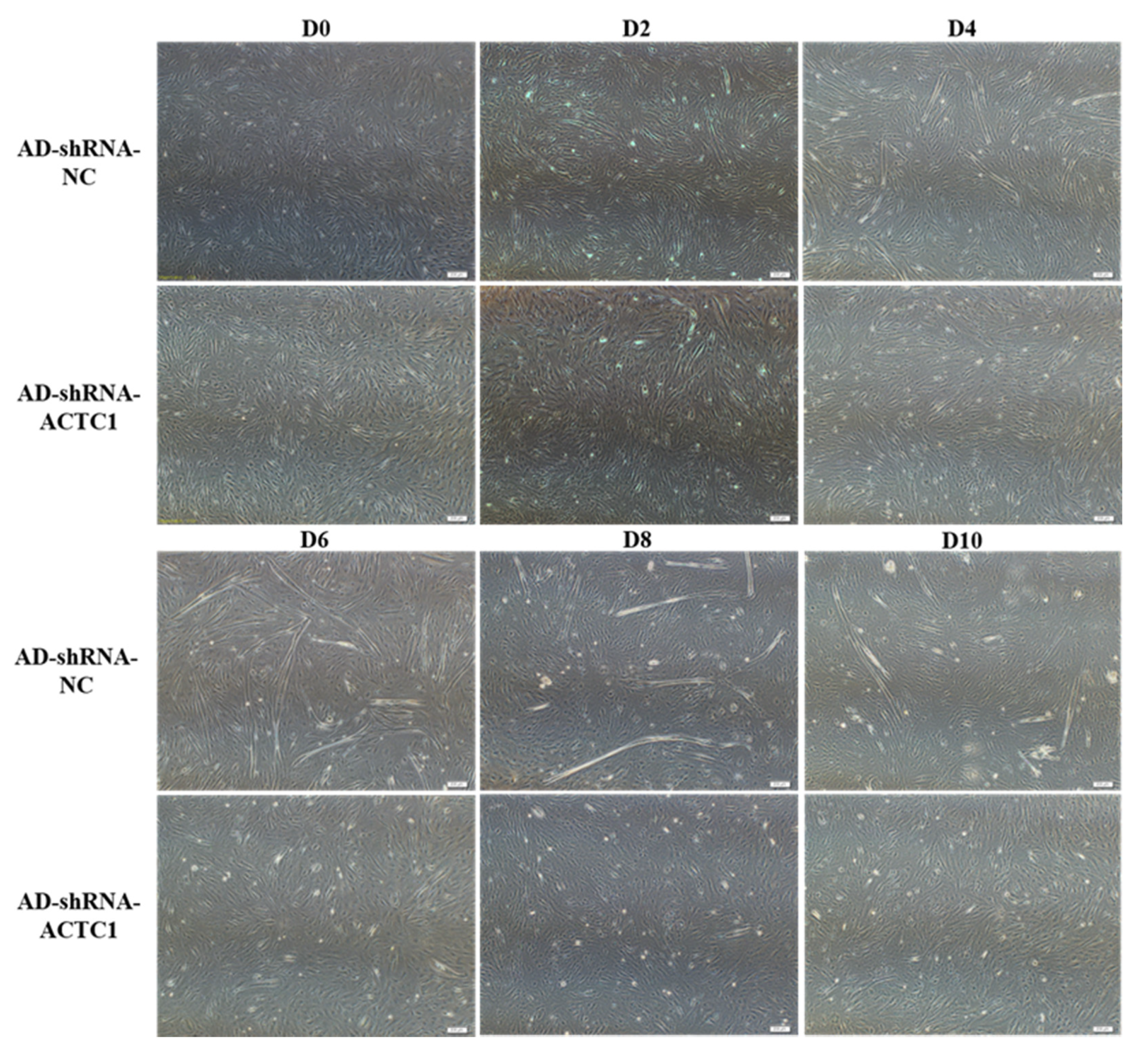 Animals 11 03468 g002