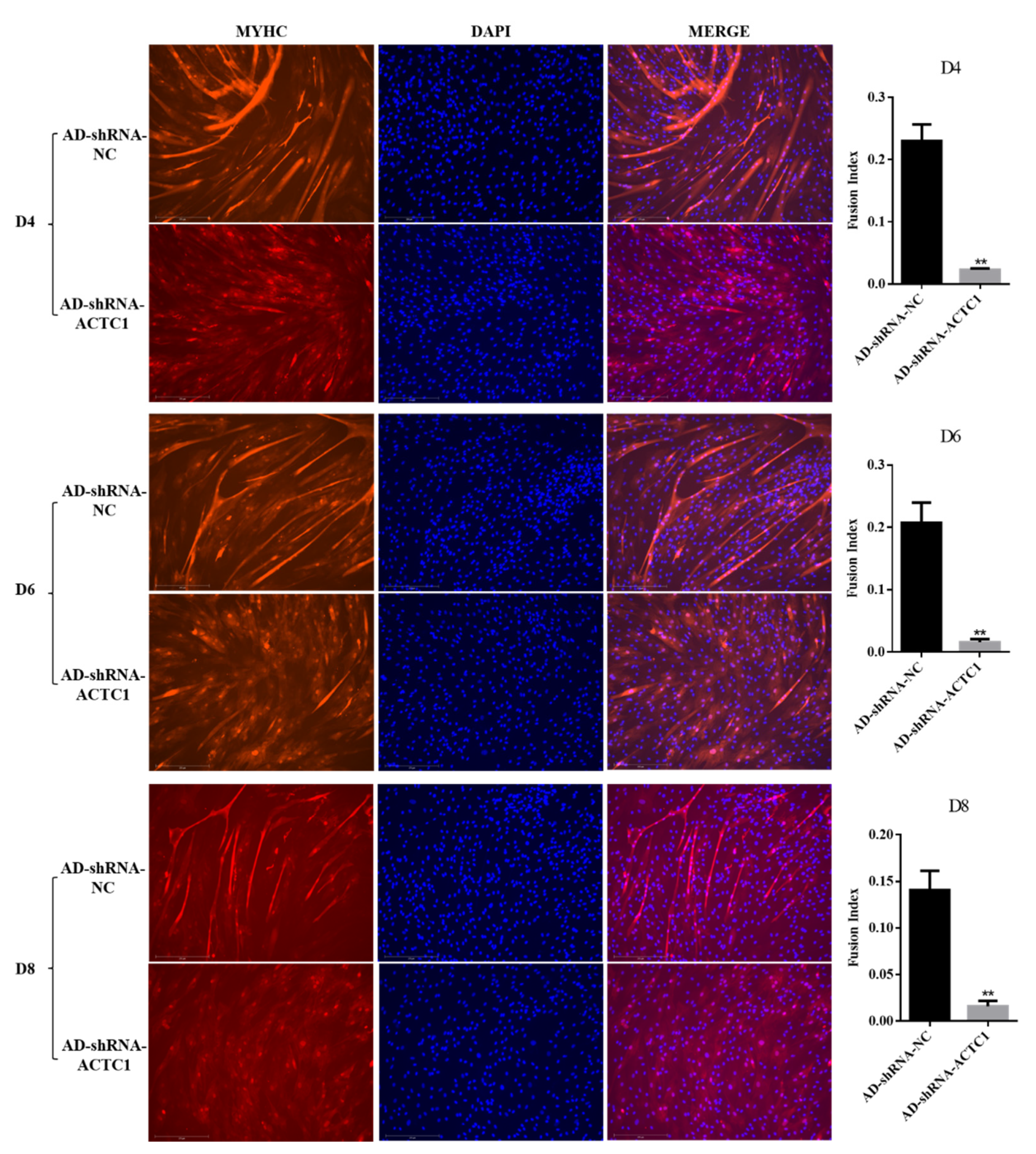 Animals 11 03468 g003