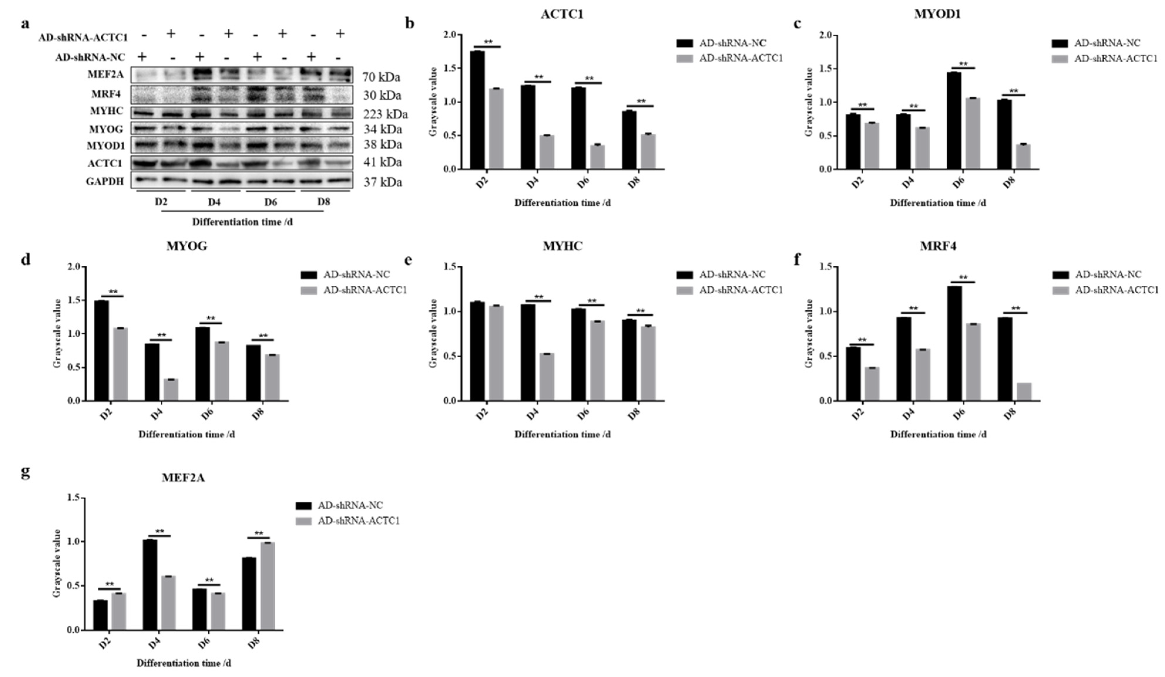 Animals 11 03468 g005
