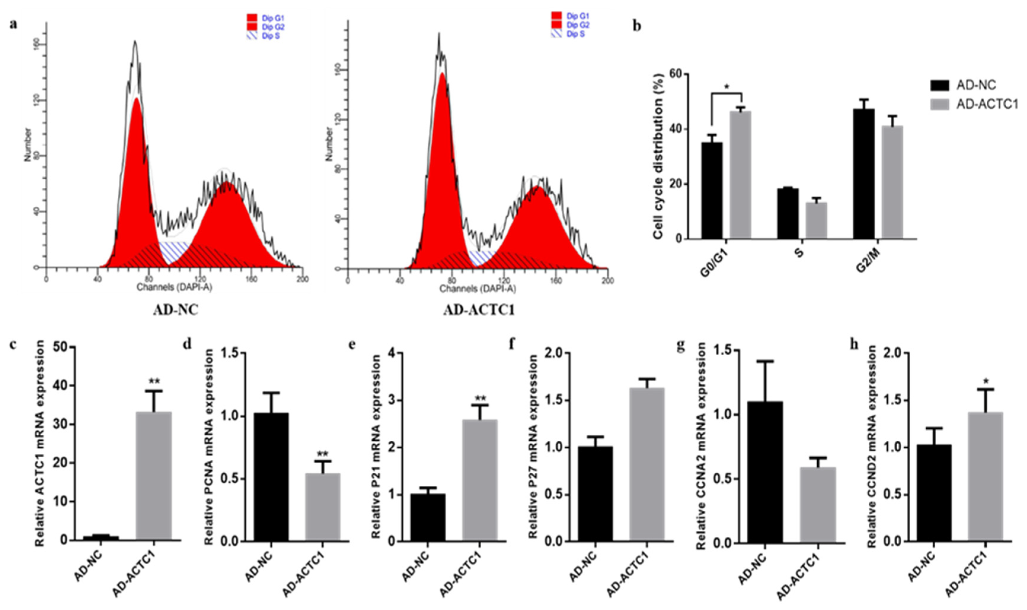 Animals 11 03468 g008