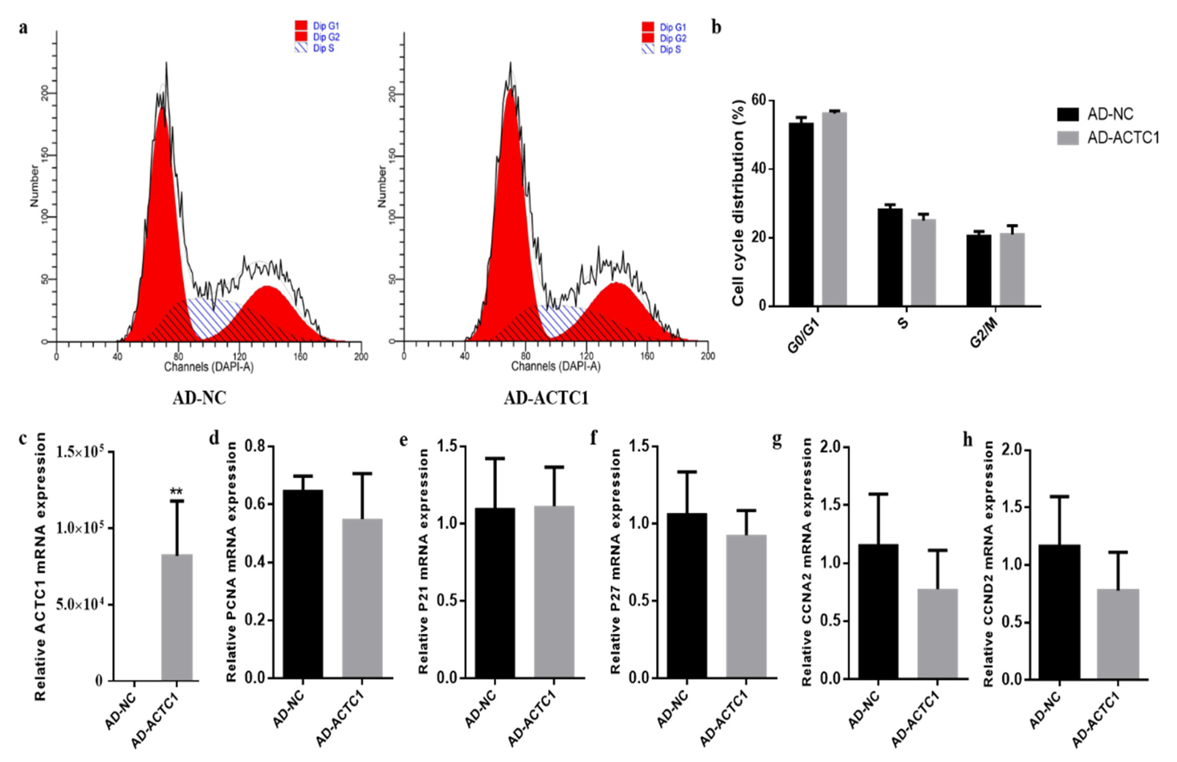 Animals 11 03468 g012