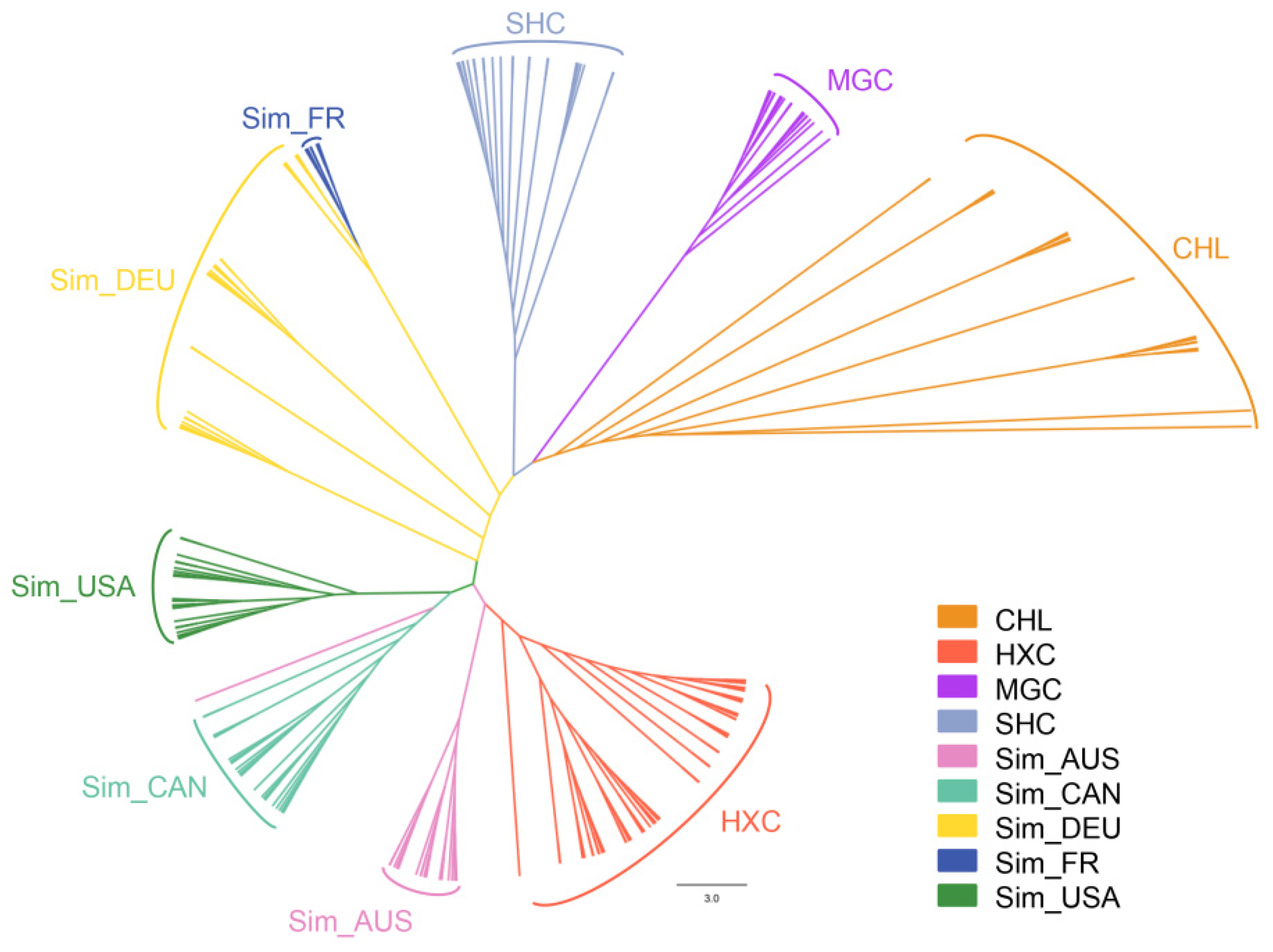 Animals 11 03469 g004
