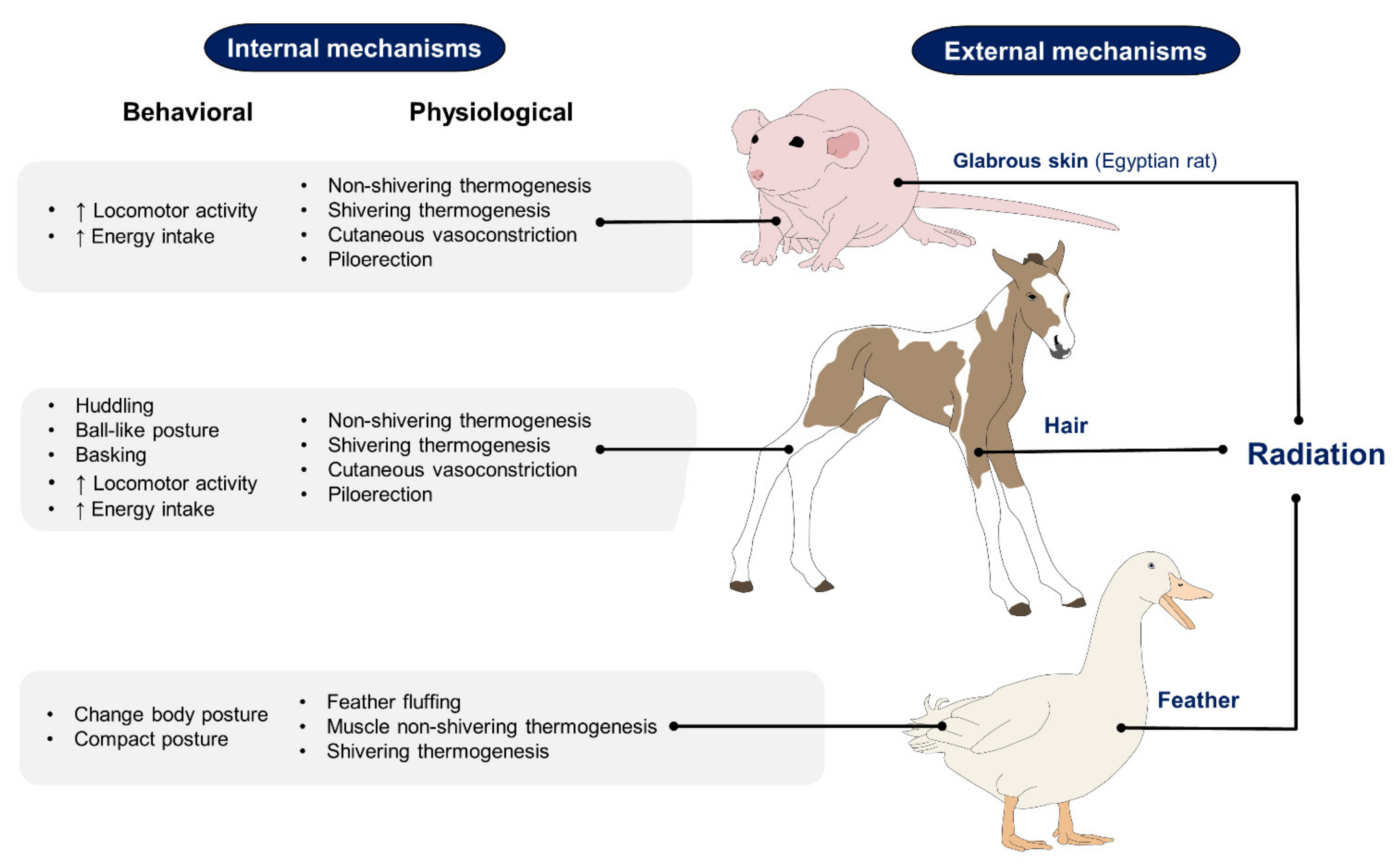 Animals 11 03472 g002 Animals 11 03472 g002