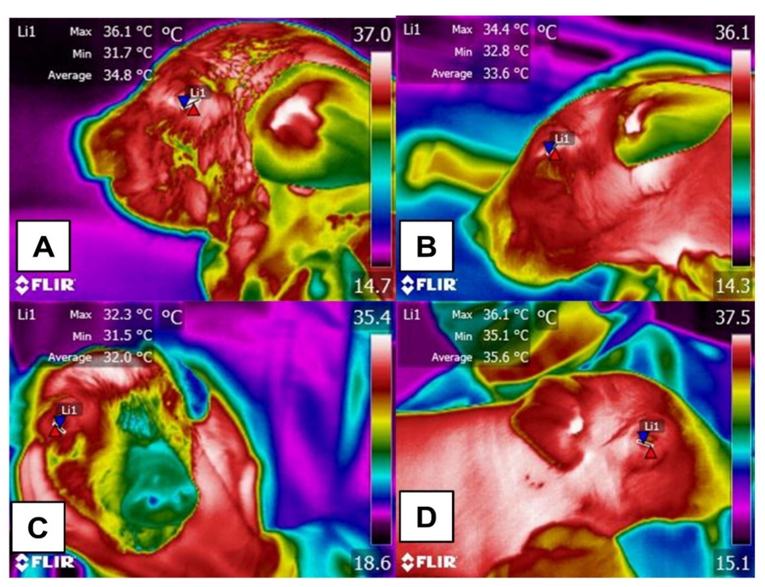 Animals 11 03472 g005 Animals 11 03472 g005