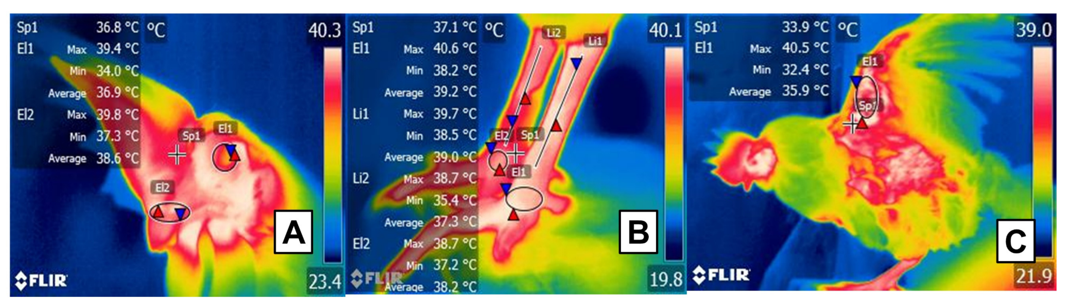 Animals 11 03472 g007 Animals 11 03472 g007