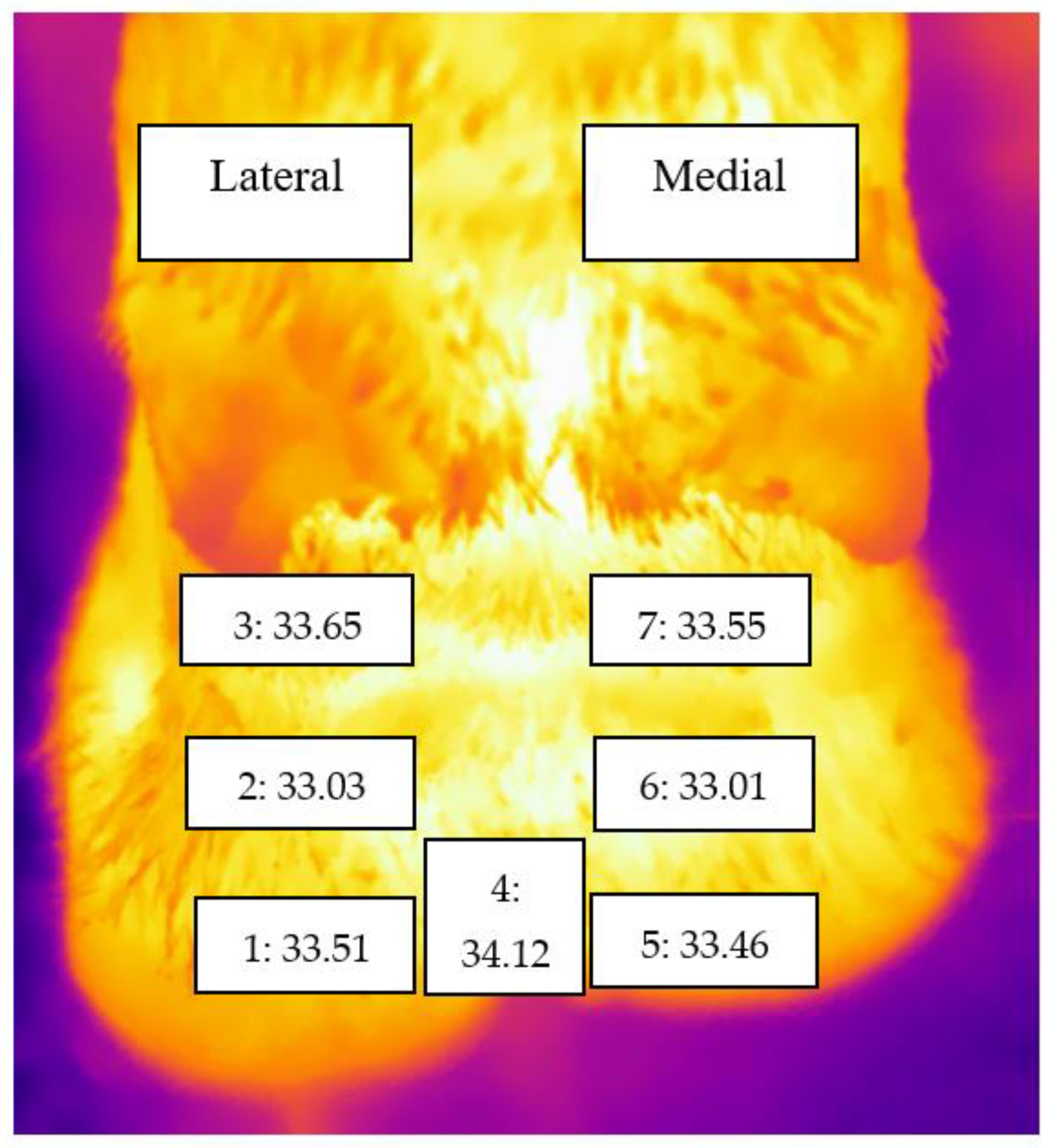 Animals 11 03473 g002 550