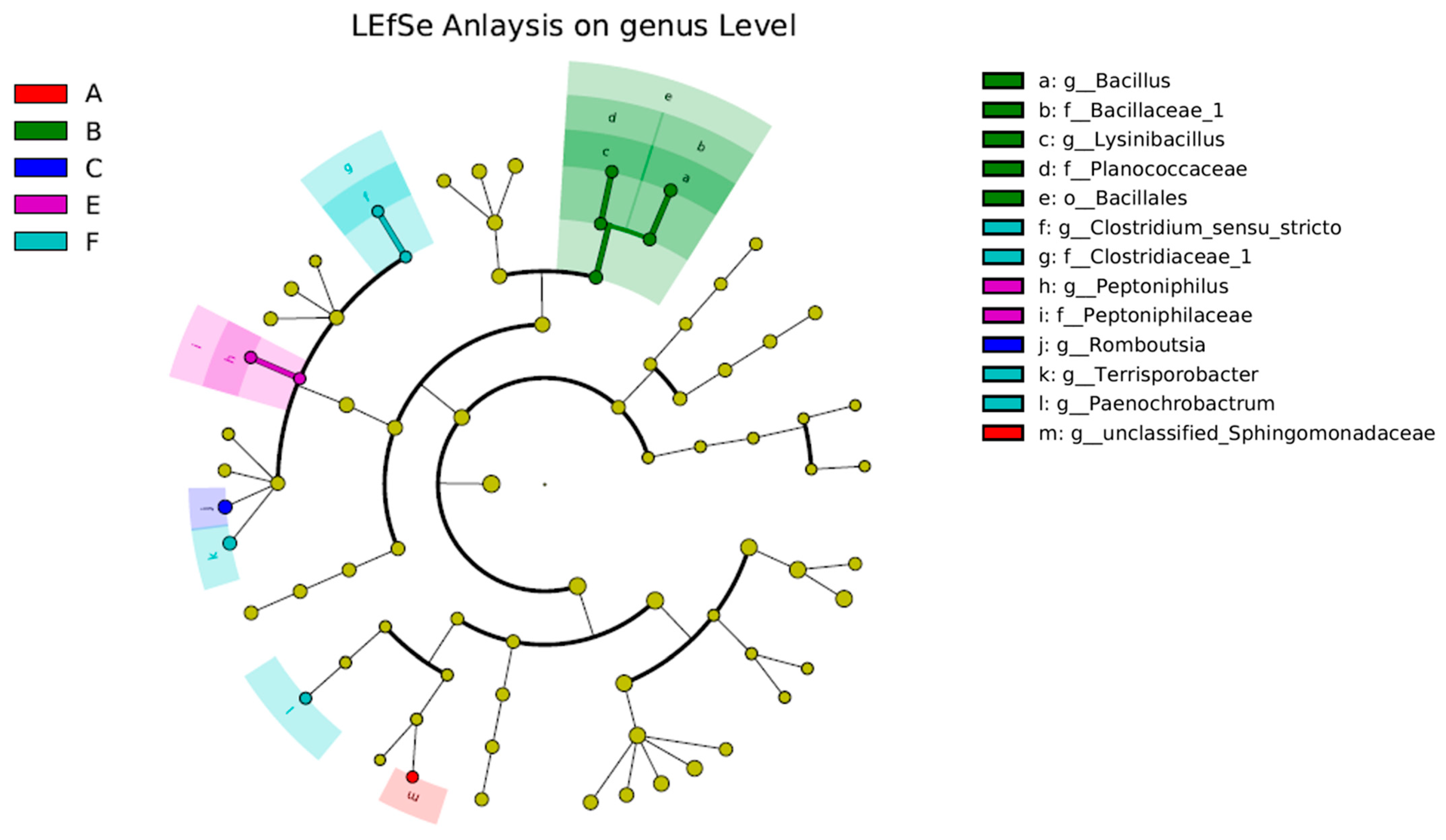 Animals 11 03475 g004