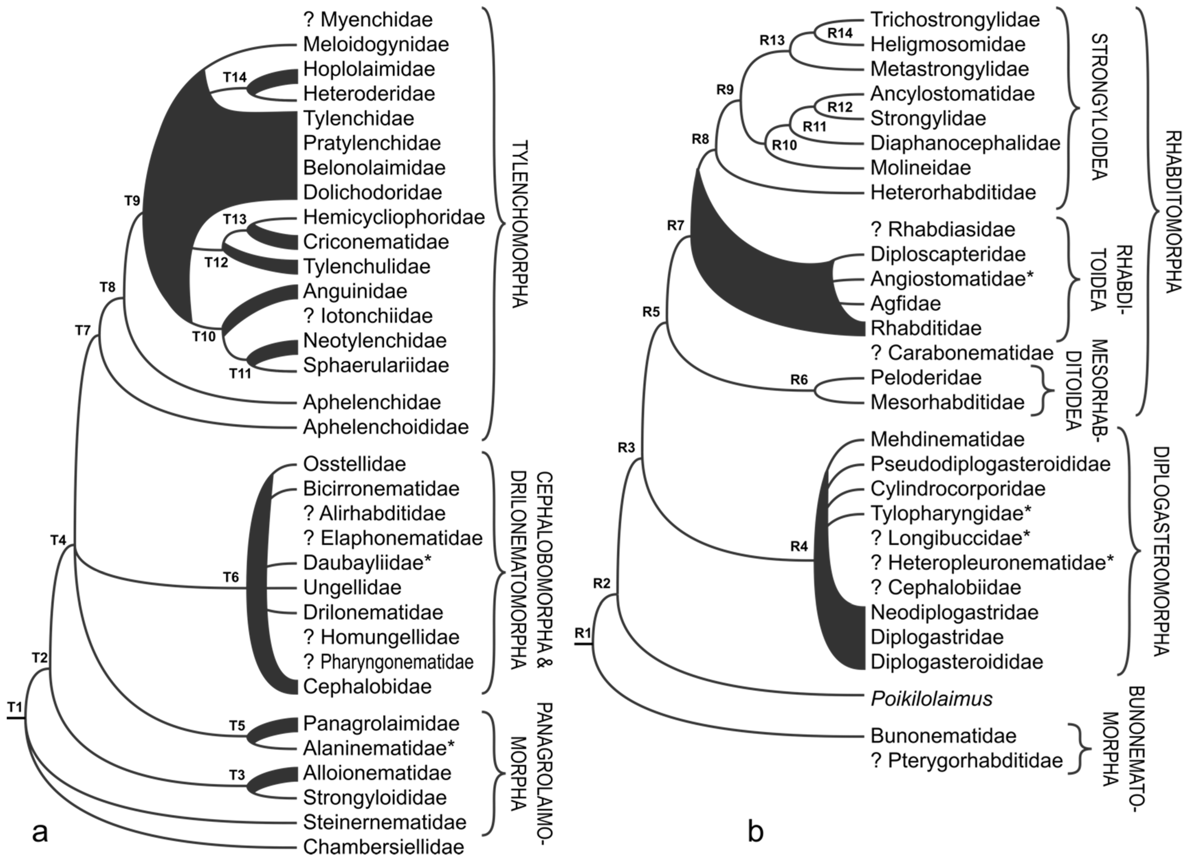 Animals 11 03479 g005