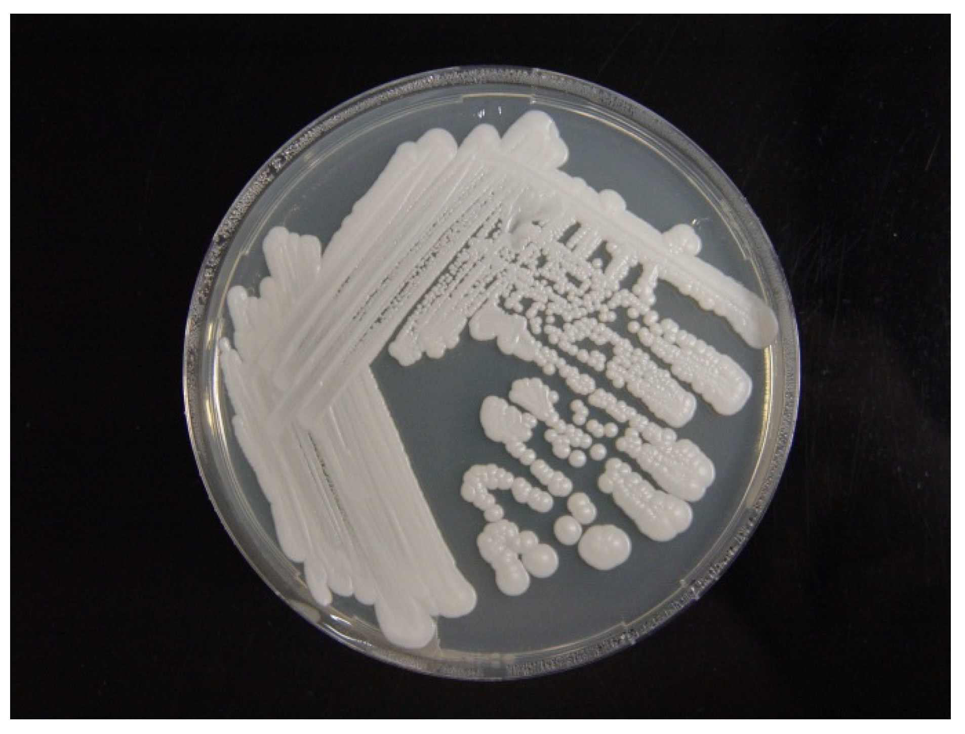 Animals 11 03480 g003 Animals 11 03480 g003