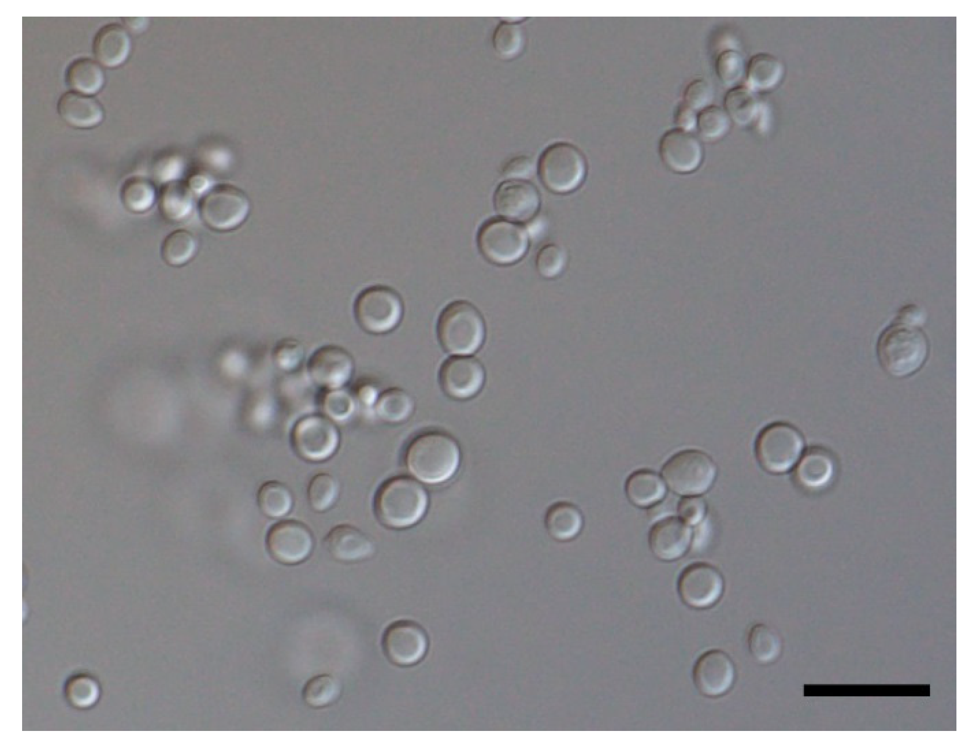 Animals 11 03480 g004 Animals 11 03480 g004