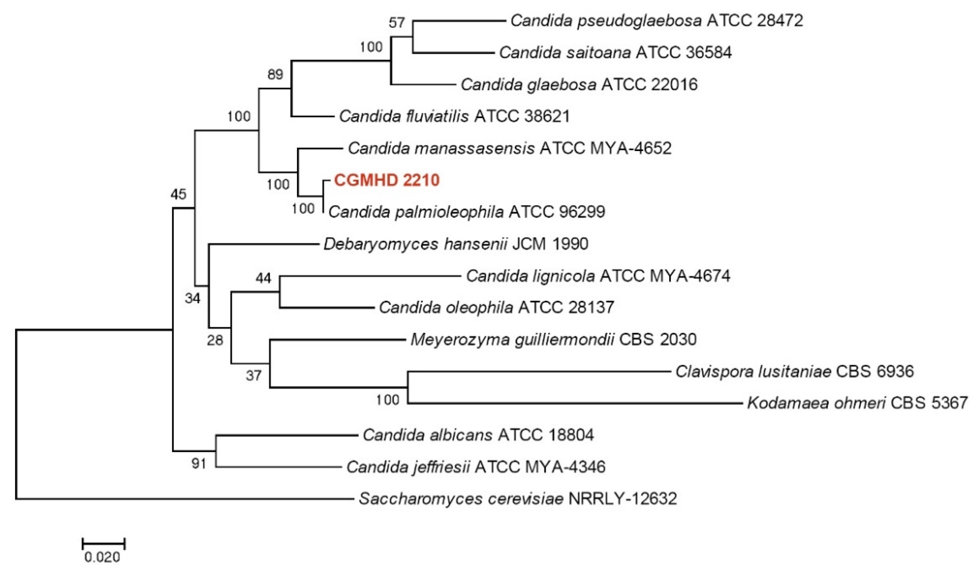 Animals 11 03480 g005 Animals 11 03480 g005