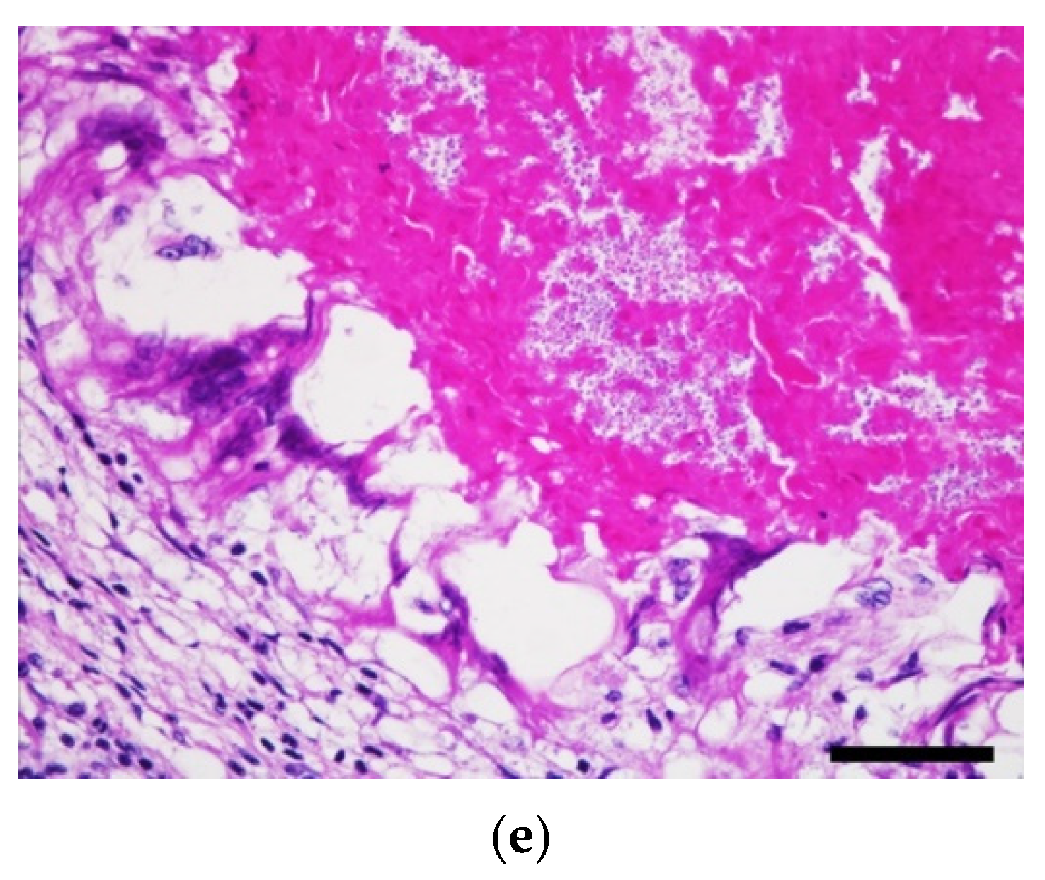 Animals 11 03480 g006b Animals 11 03480 g006b