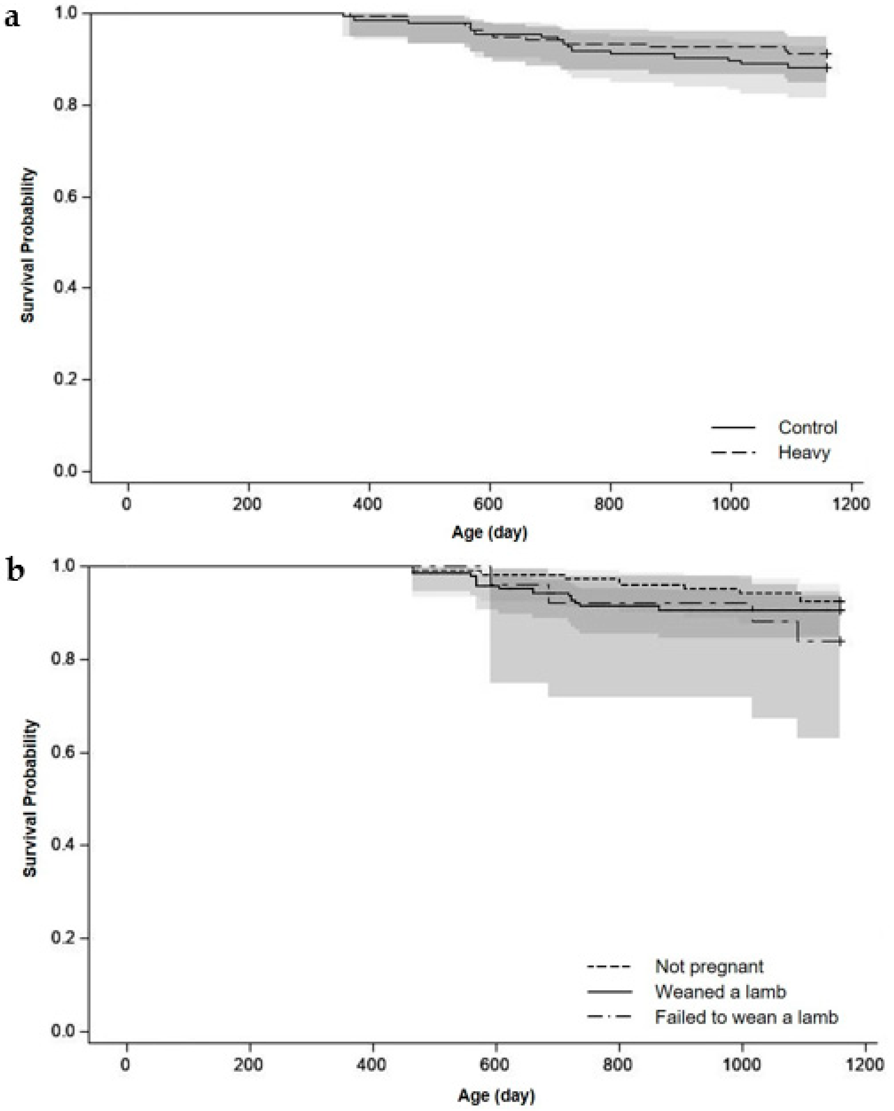 Animals 11 03486 g004 Animals 11 03486 g004
