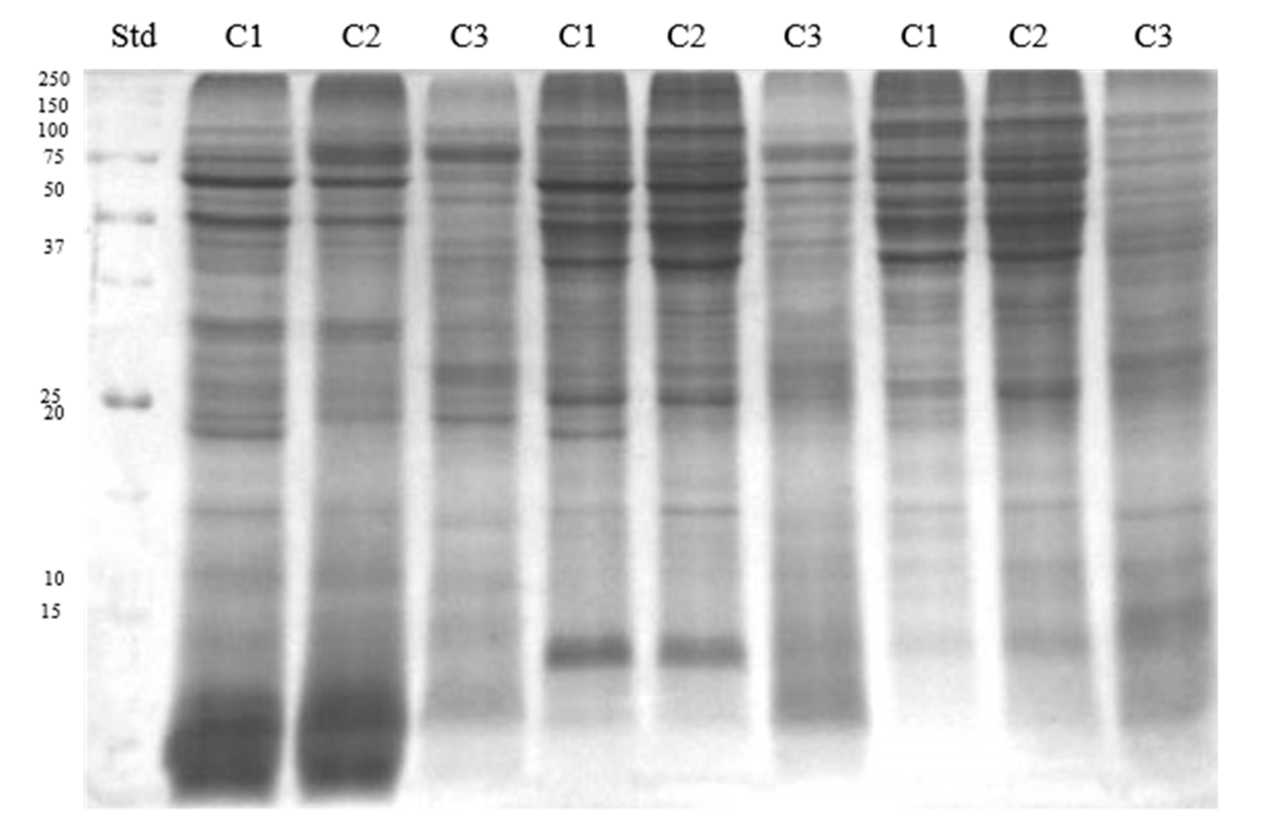 Animals 11 03487 g003 Animals 11 03487 g003