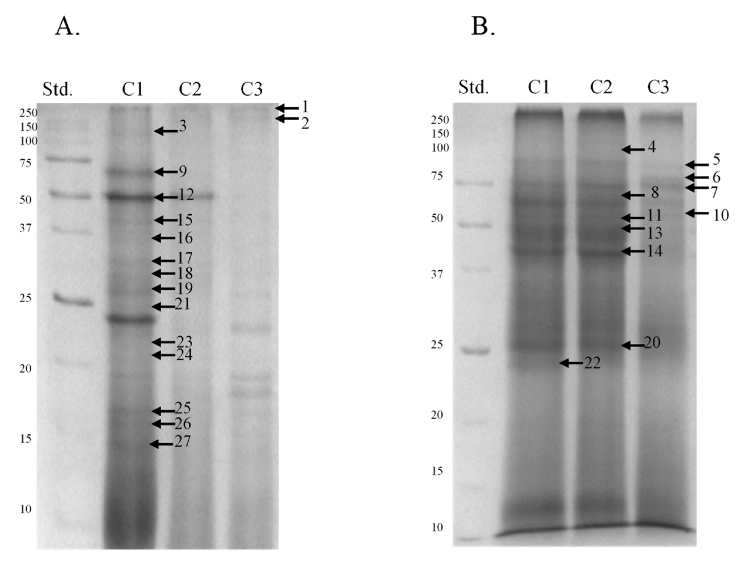 Animals 11 03487 g004 Animals 11 03487 g004
