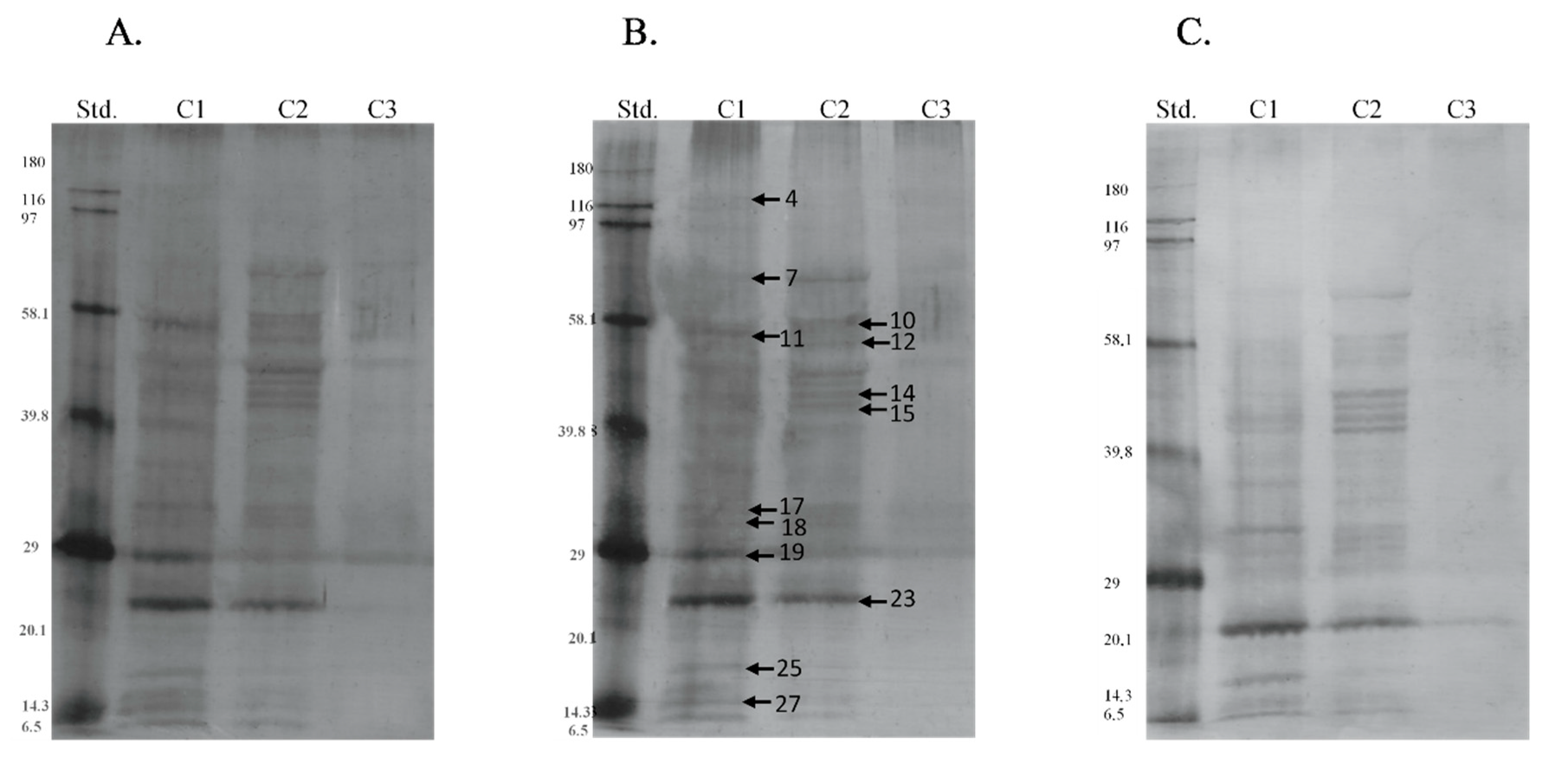 Animals 11 03487 g006 Animals 11 03487 g006