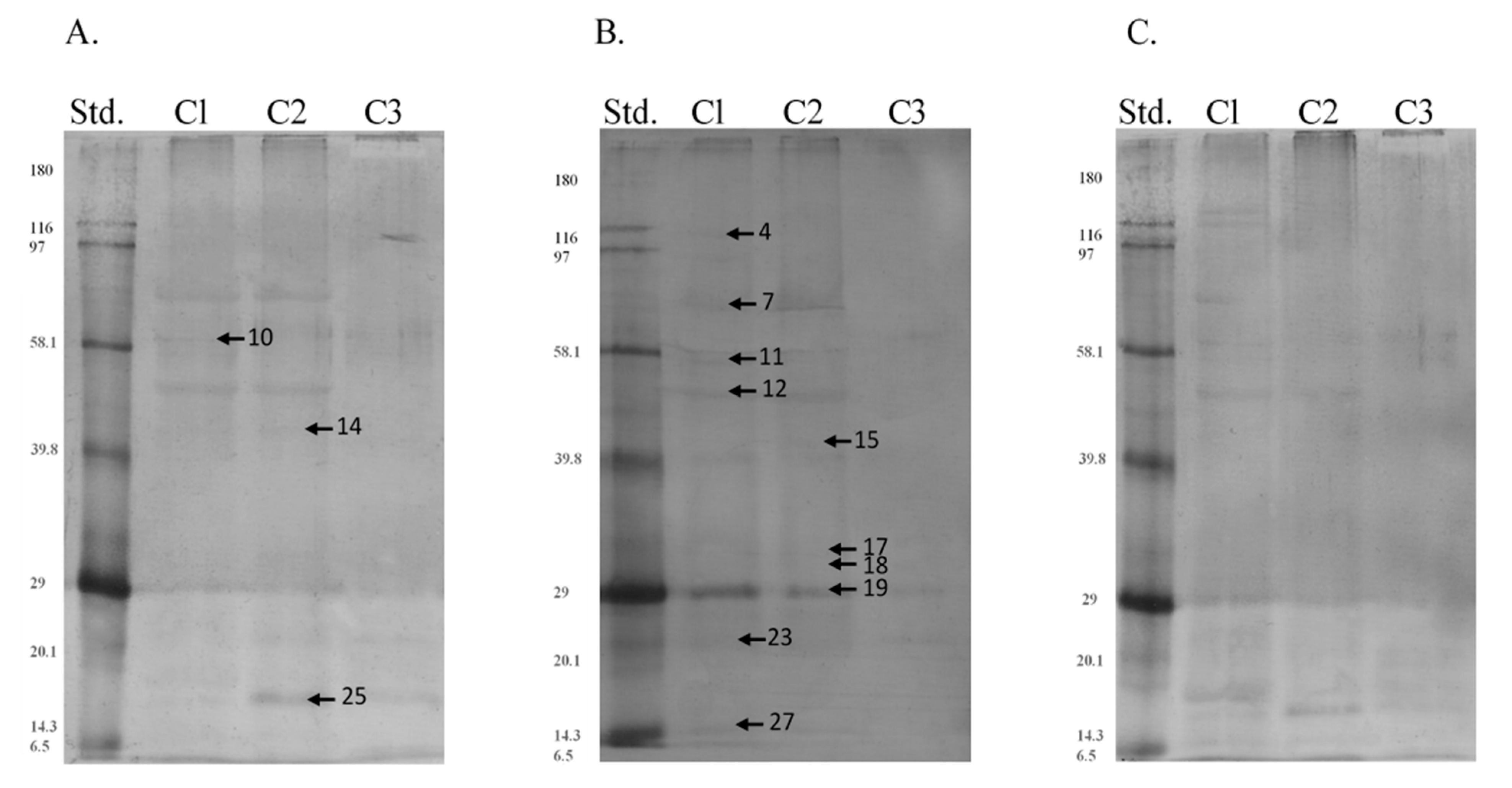 Animals 11 03487 g007 Animals 11 03487 g007