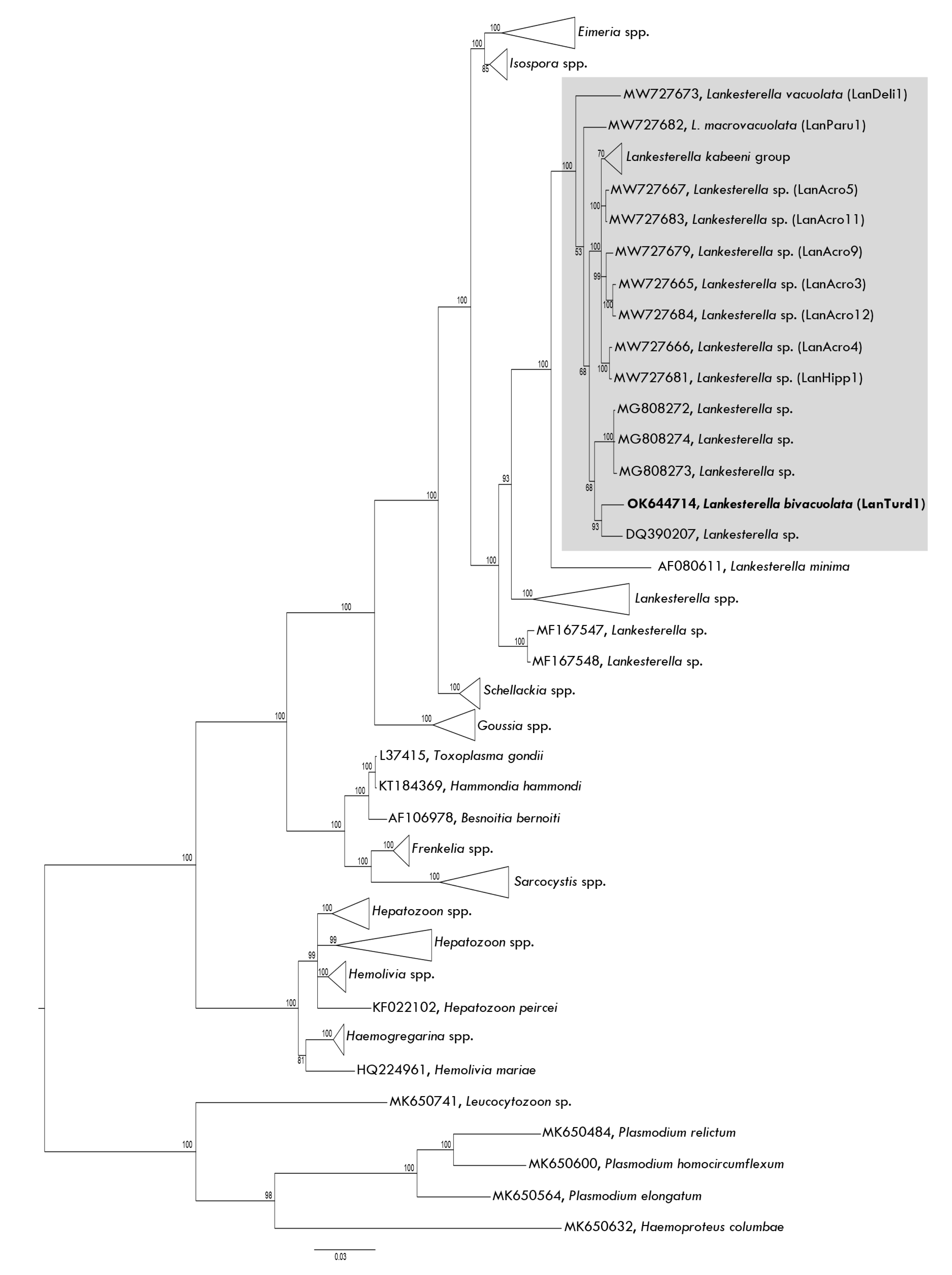 Animals 11 03490 g003 Animals 11 03490 g003