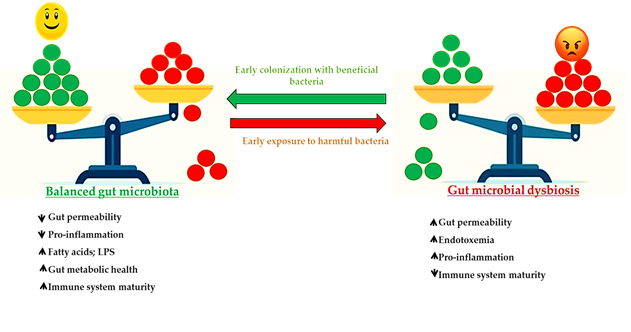 Animals 11 03491 g003