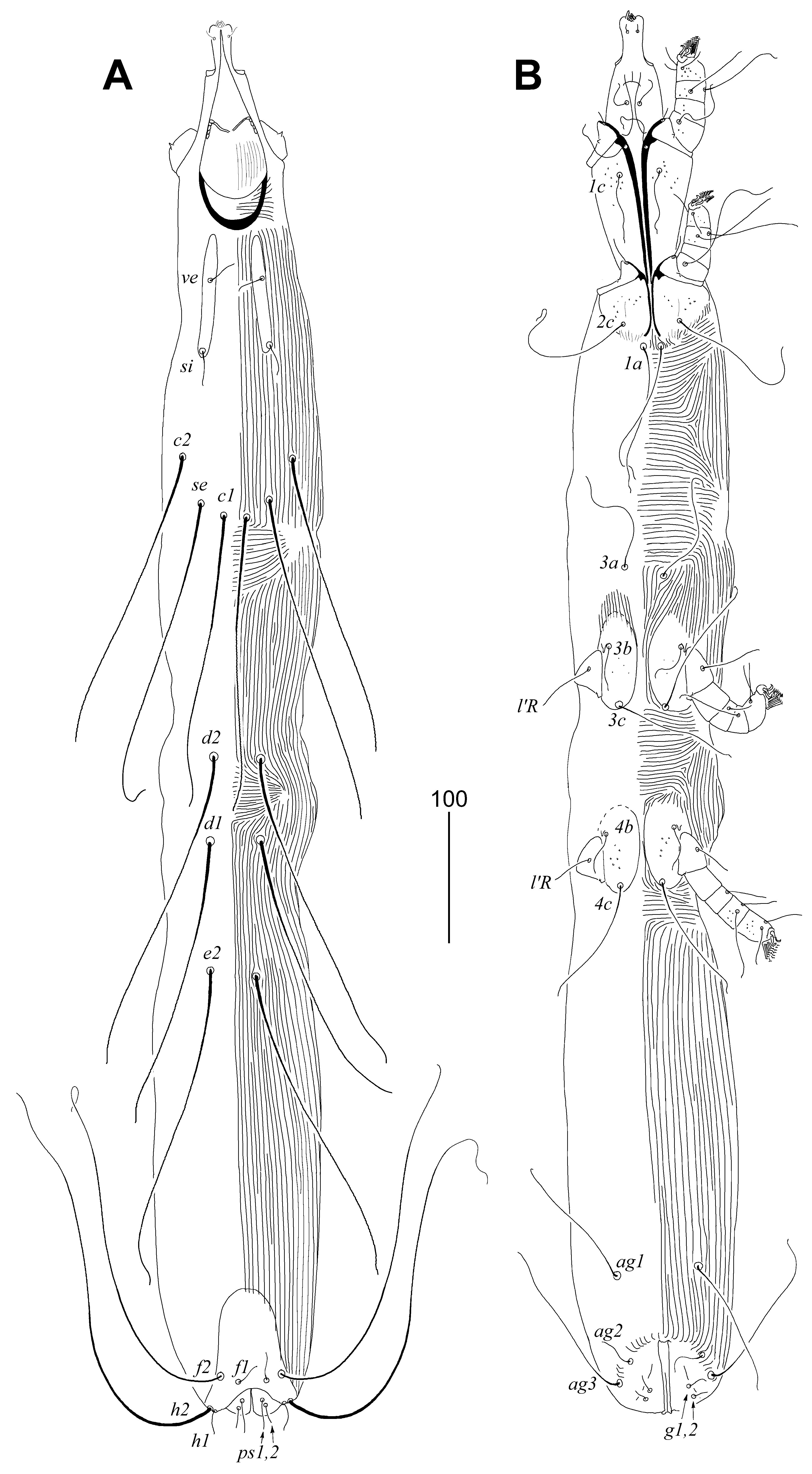Animals 11 03500 g002