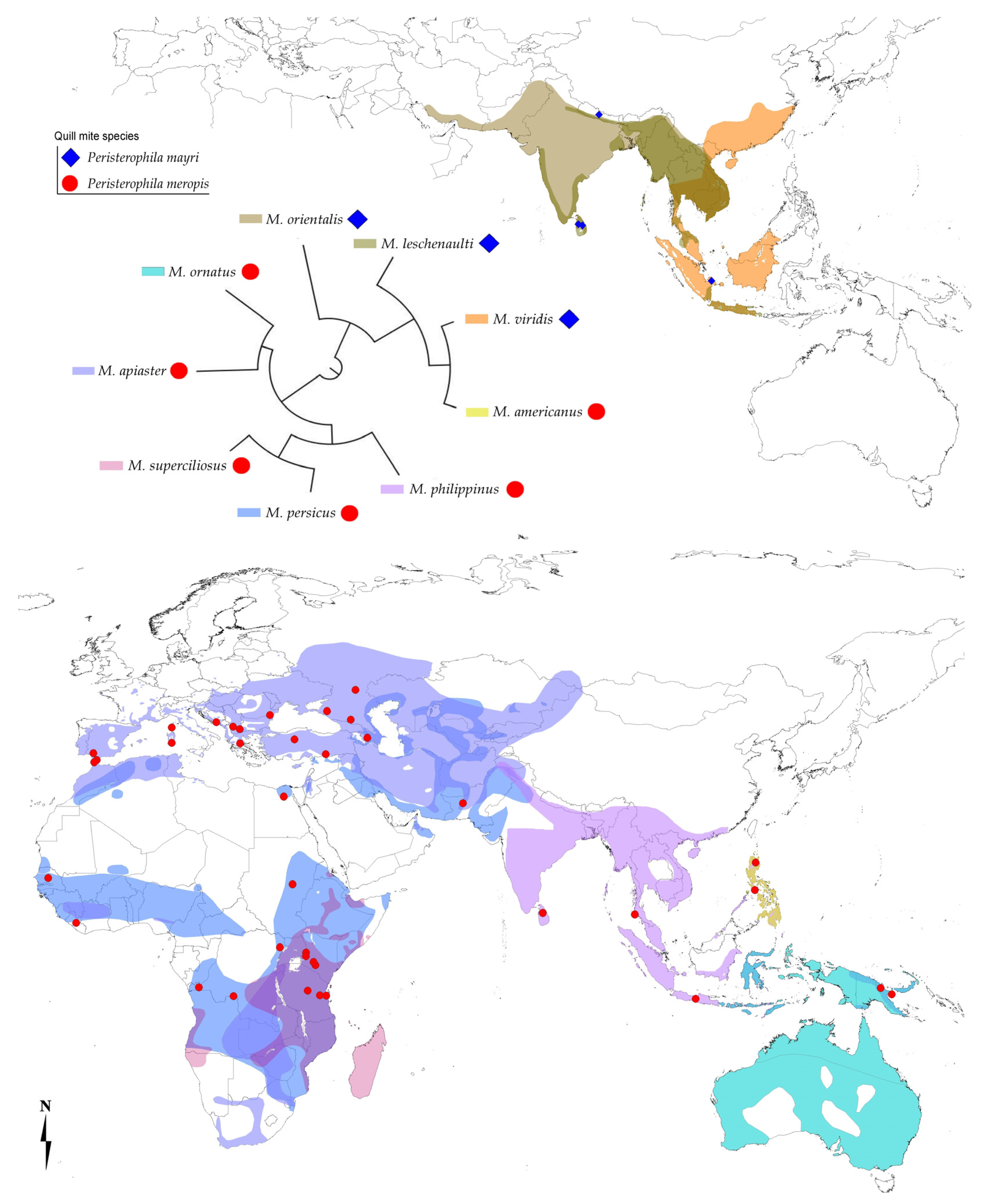 Animals 11 03500 g004