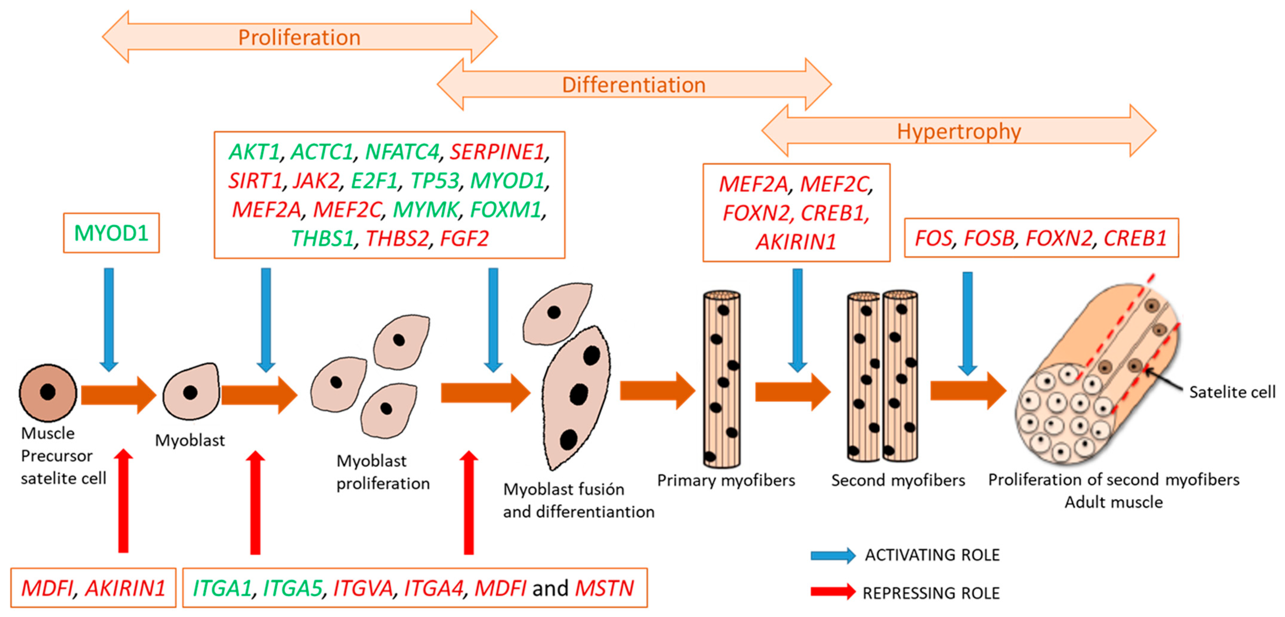 Animals 11 03505 g002 Animals 11 03505 g002