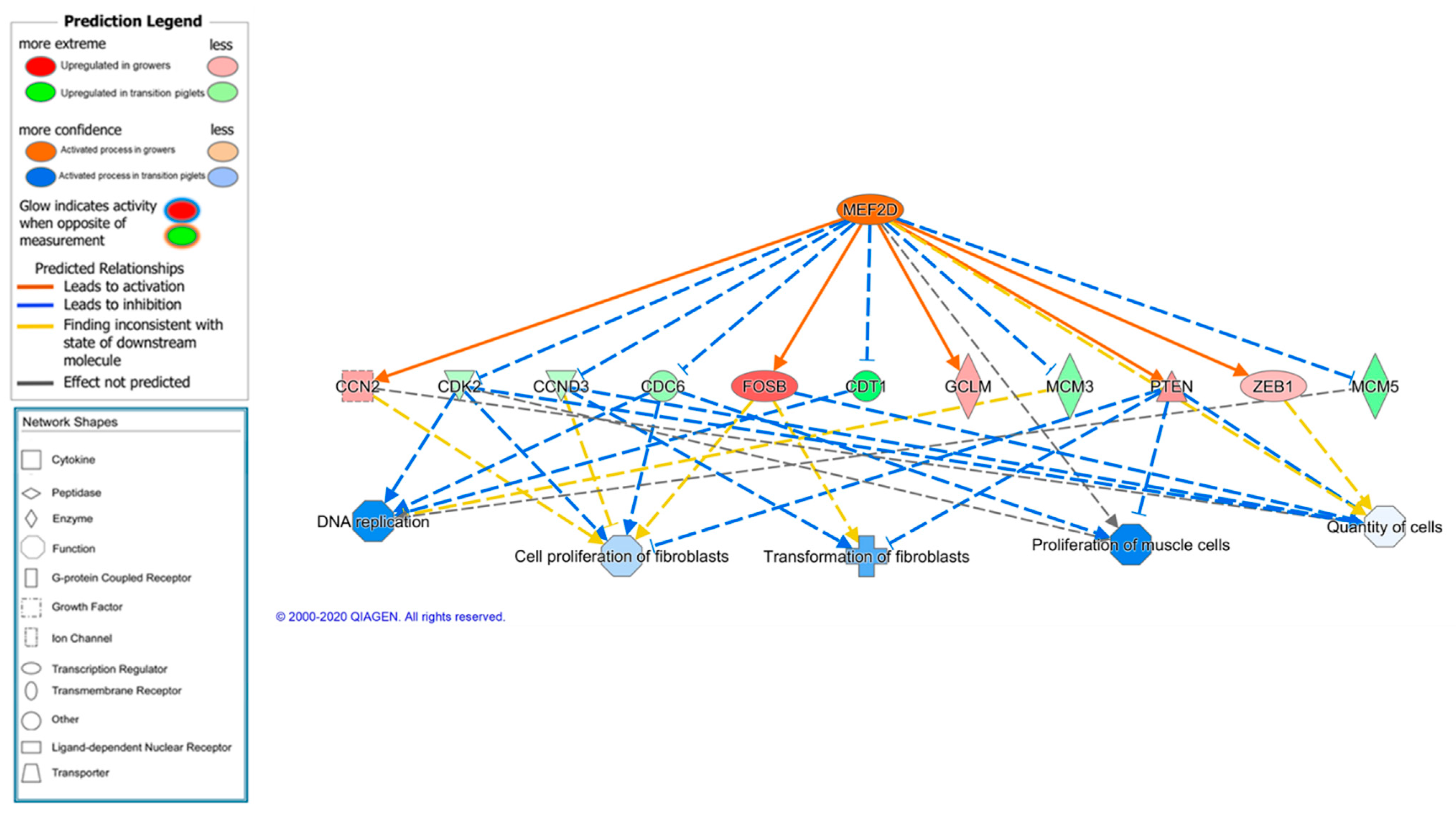 Animals 11 03505 g004 Animals 11 03505 g004