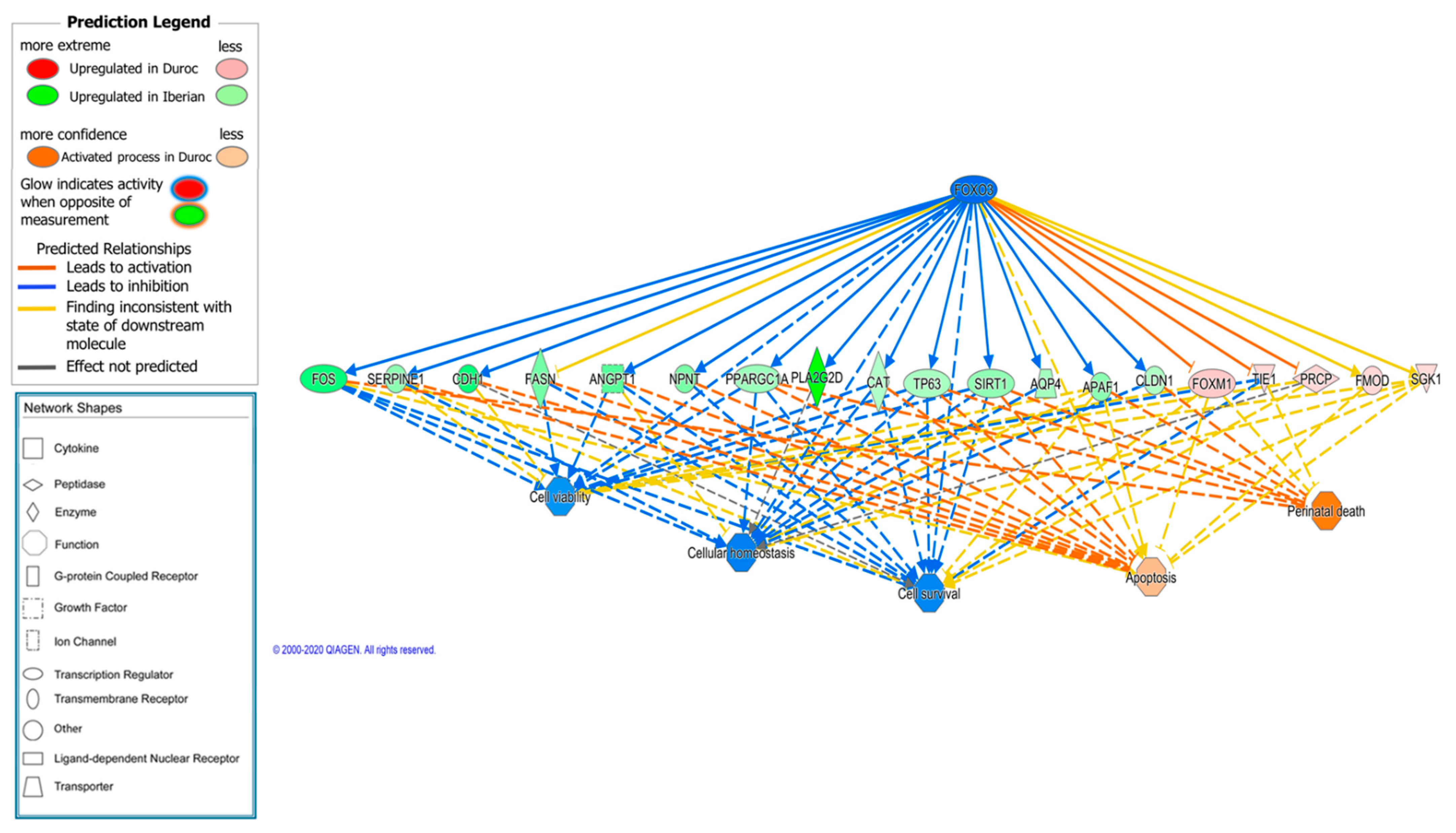 Animals 11 03505 g007 Animals 11 03505 g007