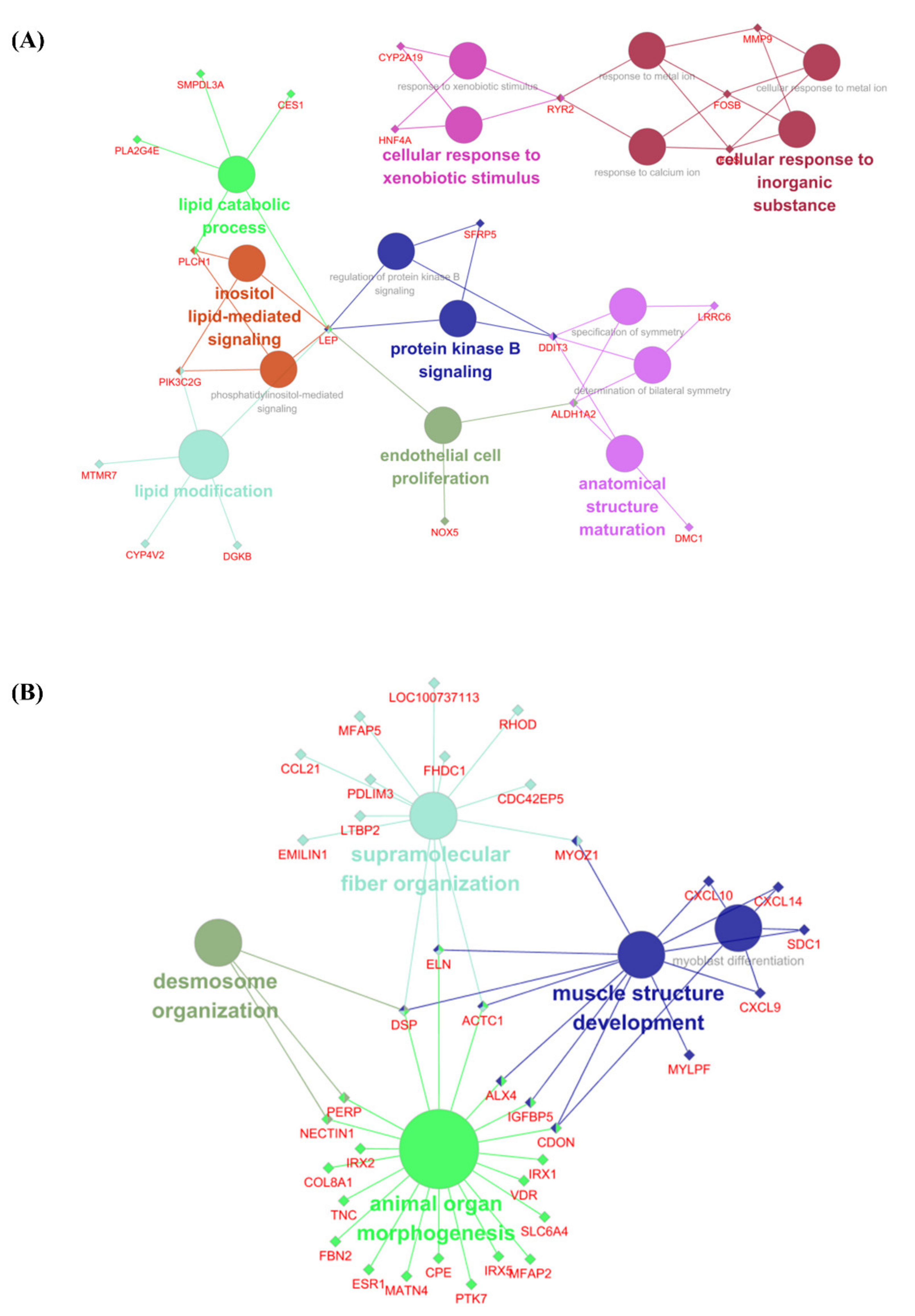 Animals 11 03511 g003
