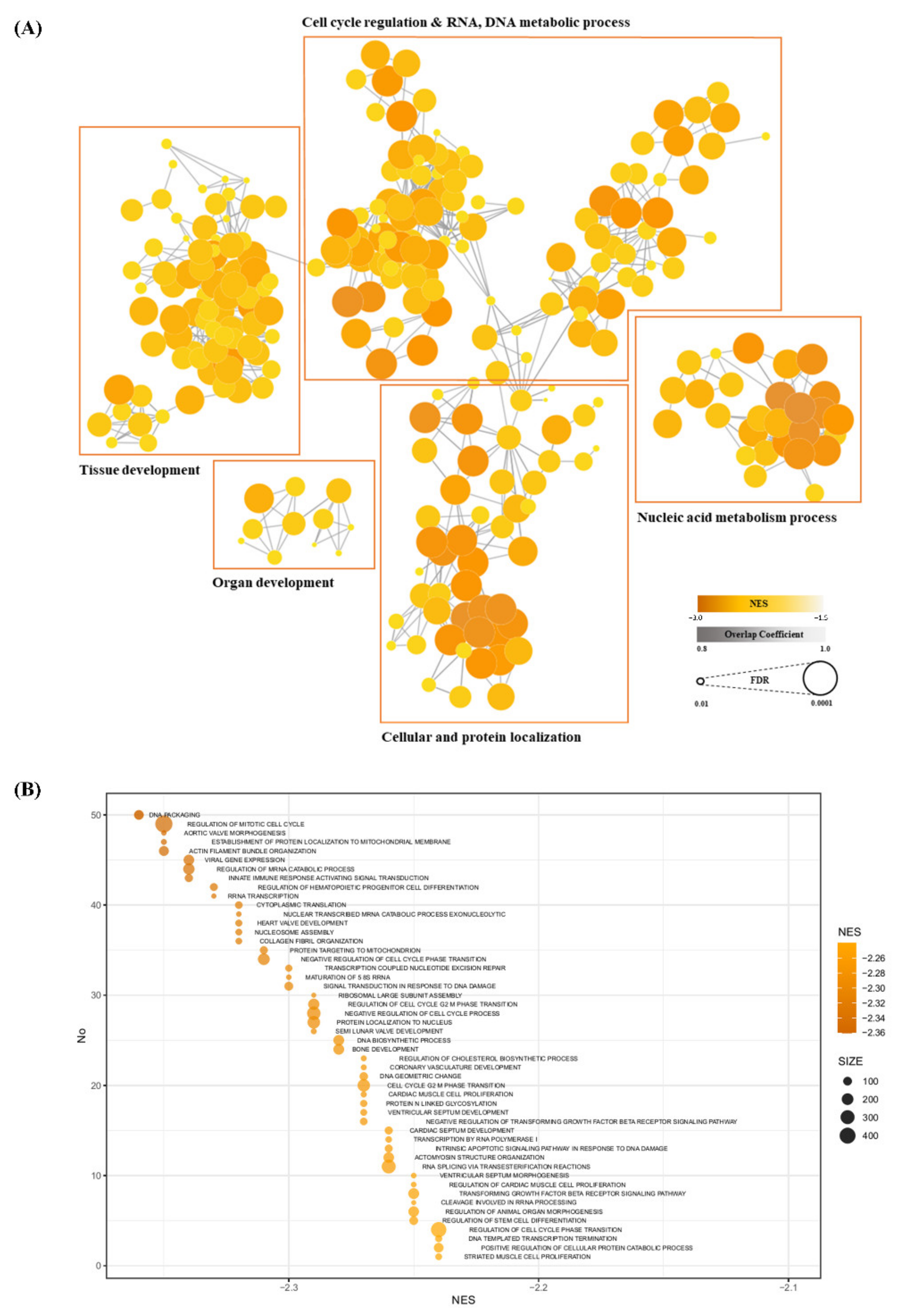 Animals 11 03511 g004