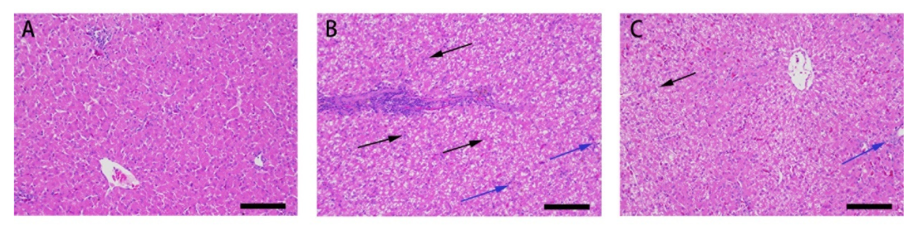 Animals 11 03516 g001