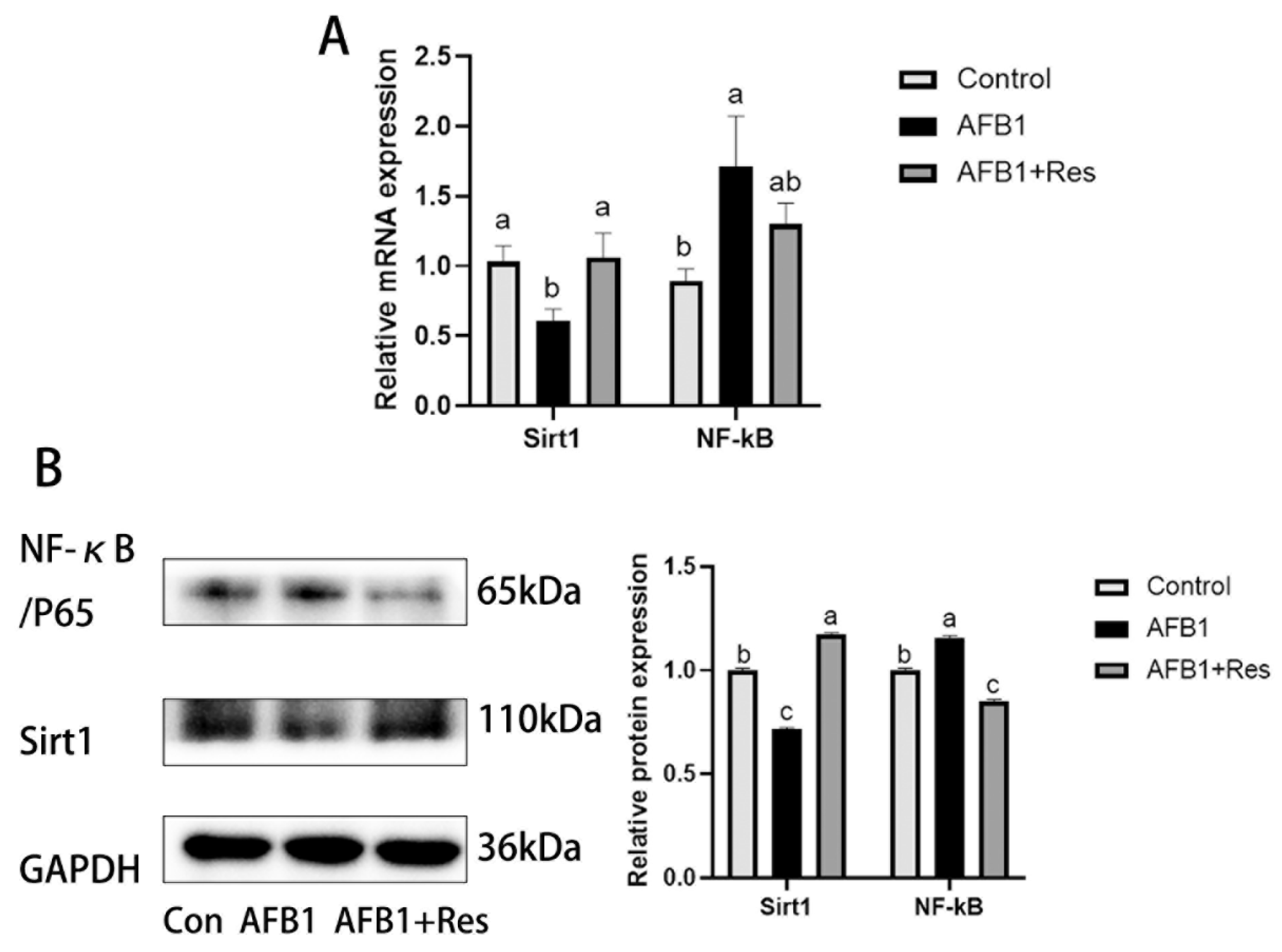 Animals 11 03516 g008