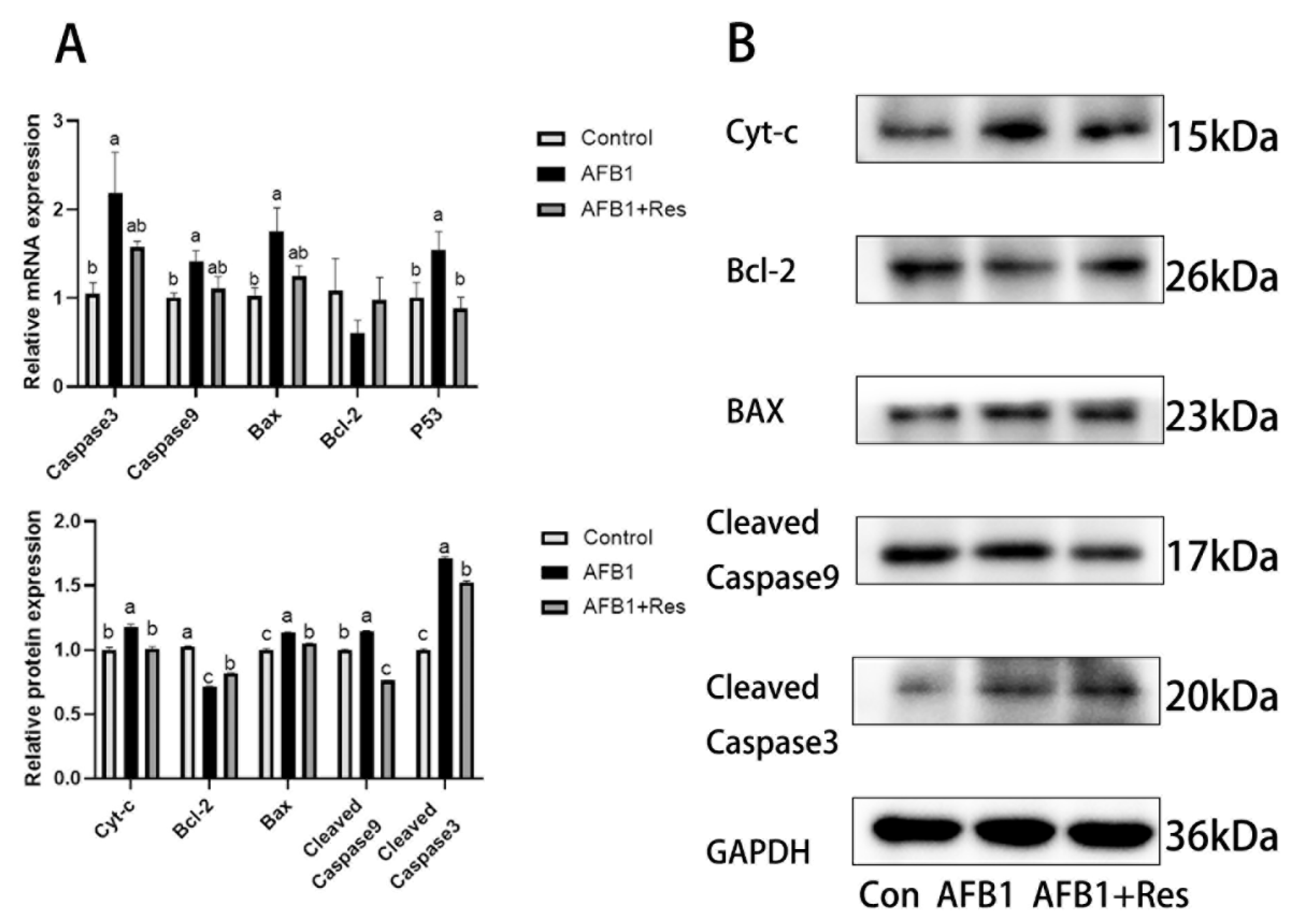 Animals 11 03516 g009