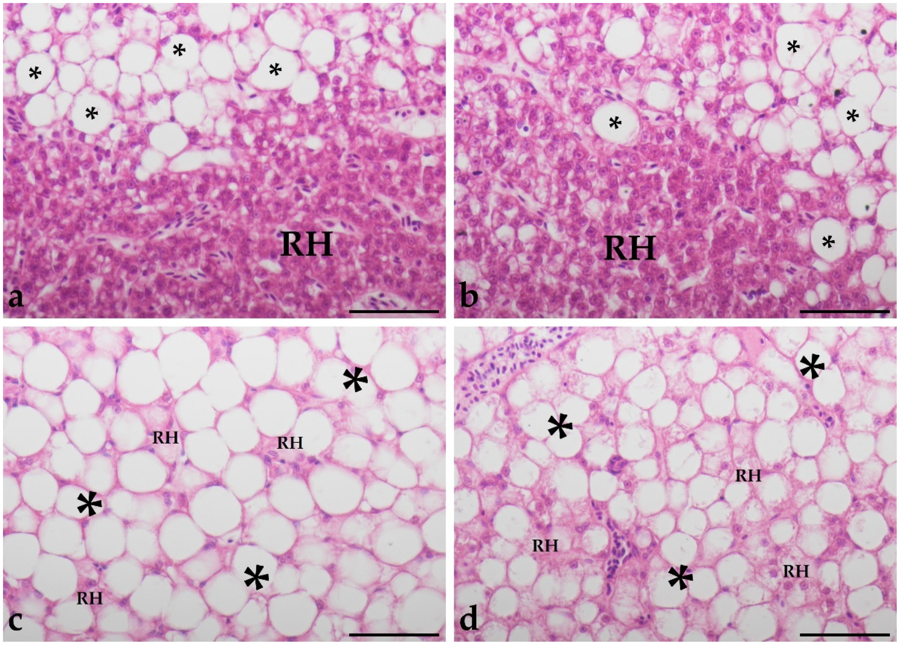 Animals 11 03520 g001 Animals 11 03520 g001