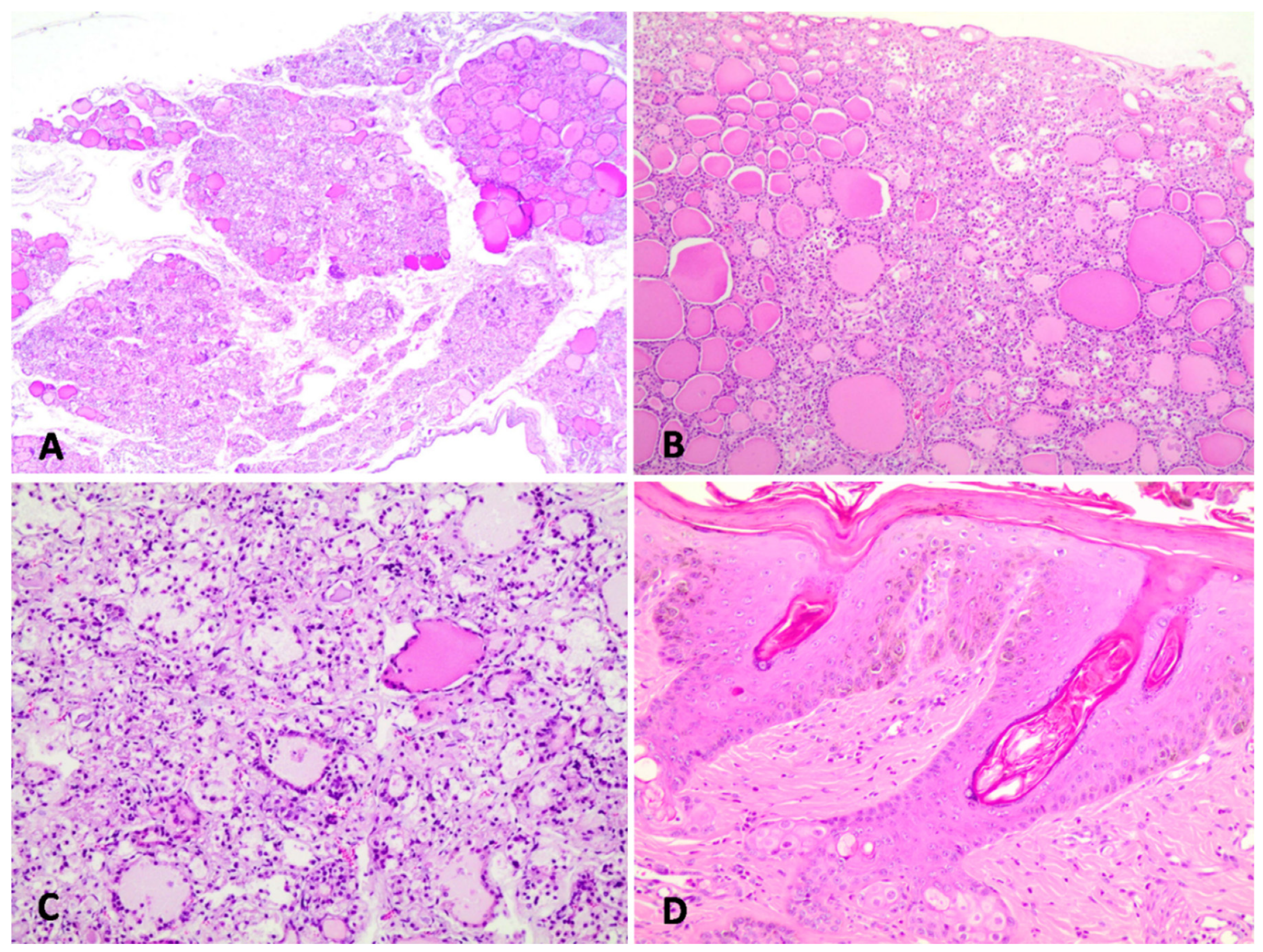 Animals 11 03530 g002