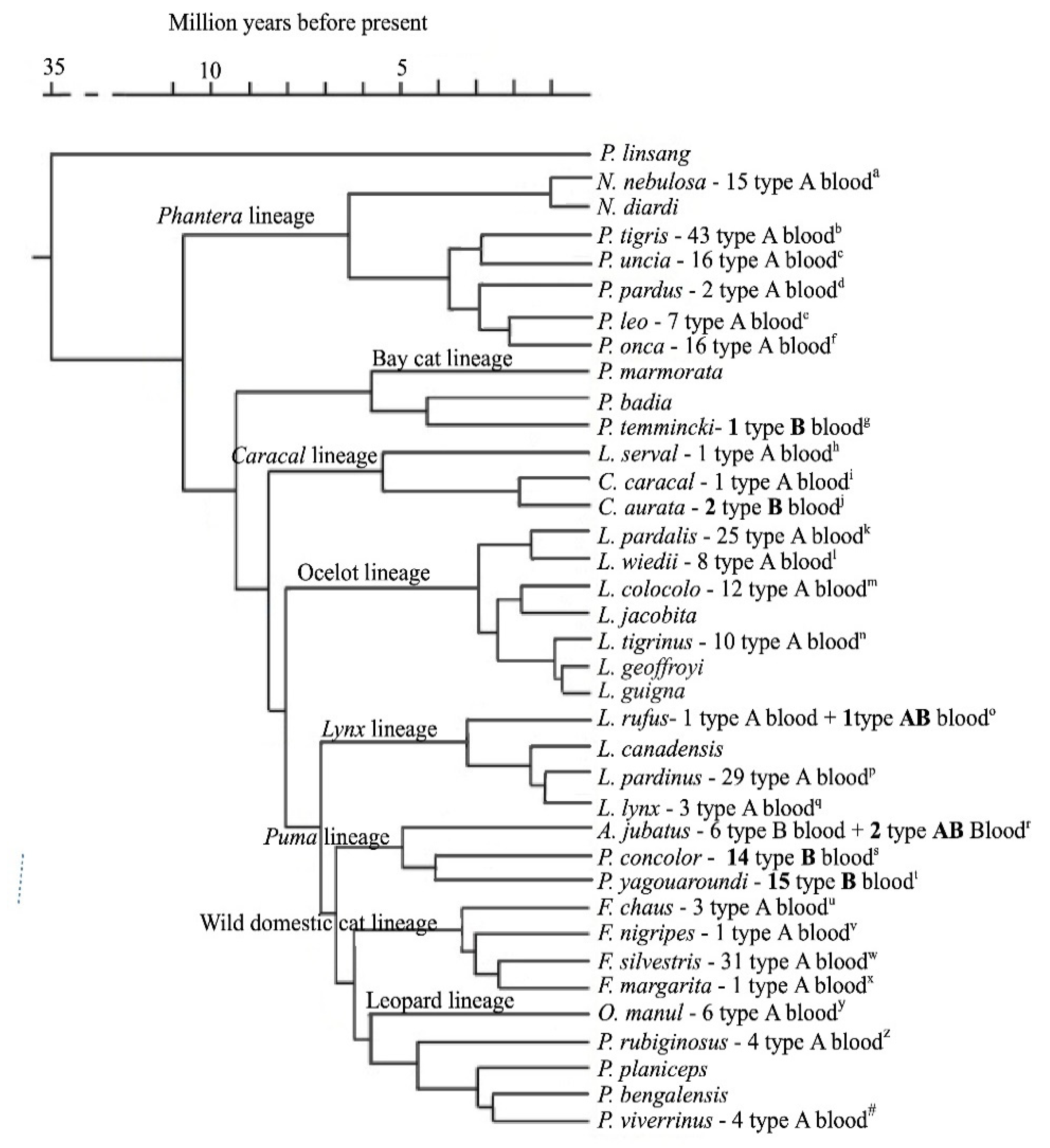 Top 99 Do Animals Have Different Blood Types Merkantilaklubben