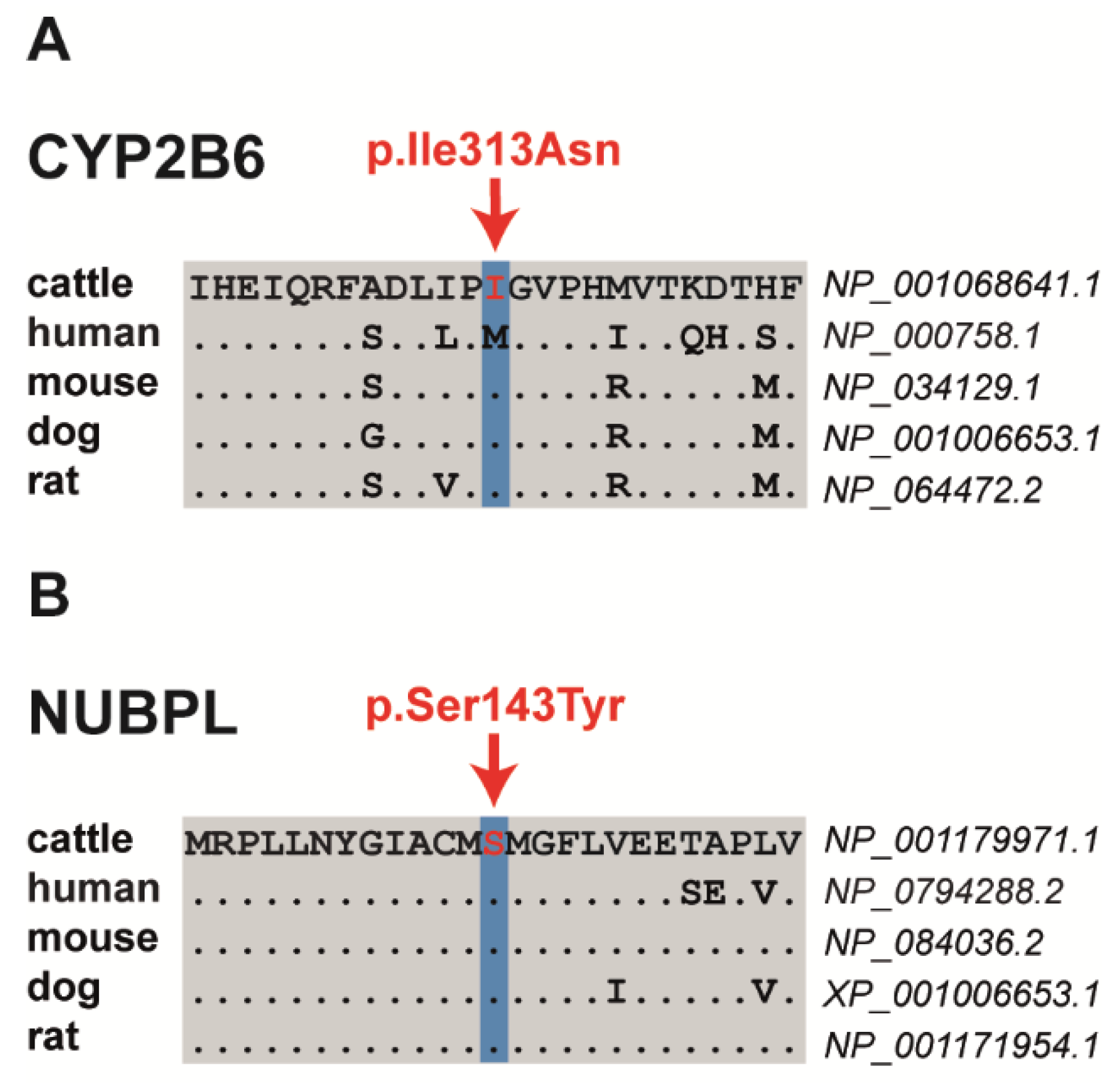 Animals 11 03535 g002 Animals 11 03535 g002
