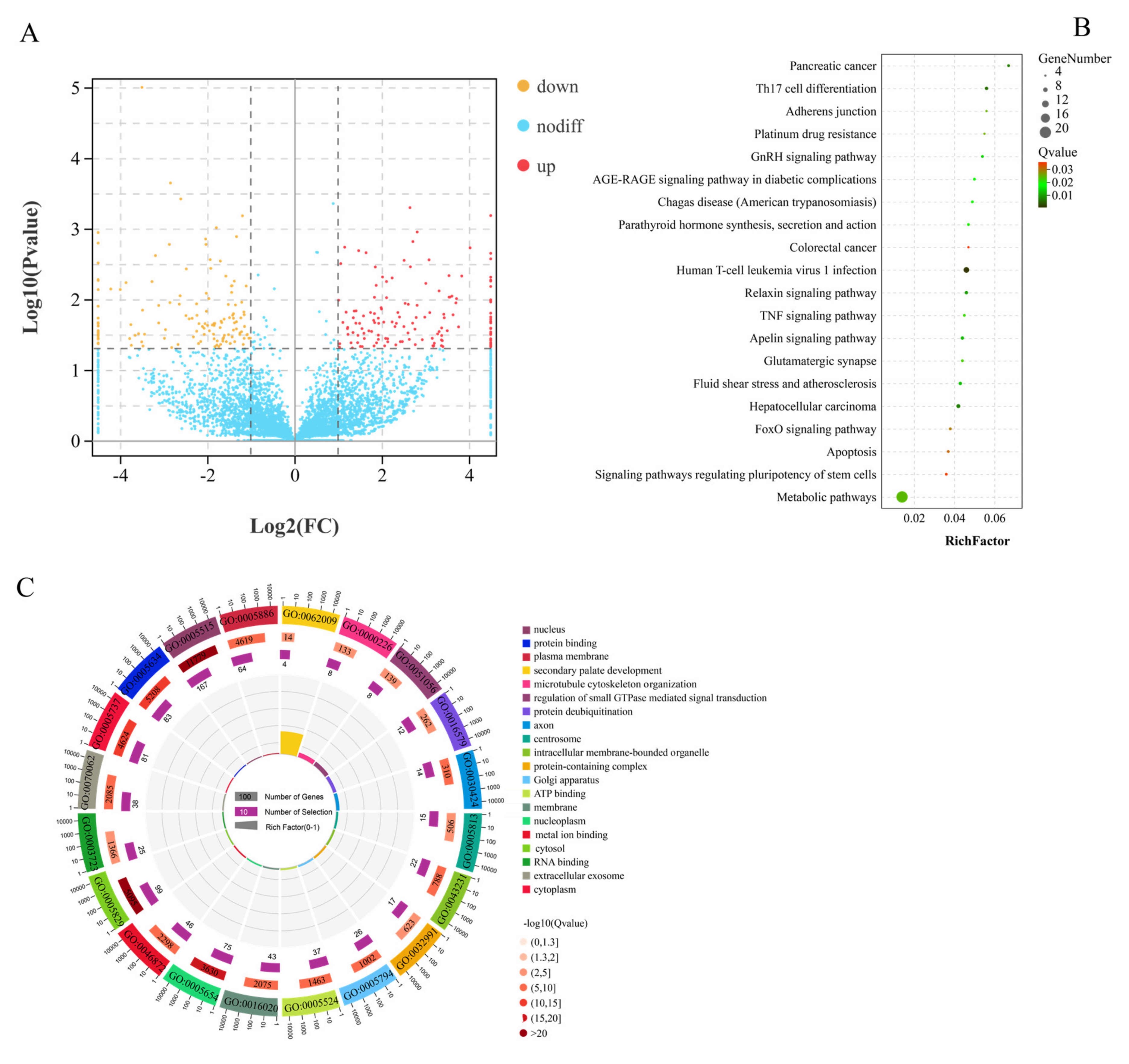 Animals 11 03536 g003