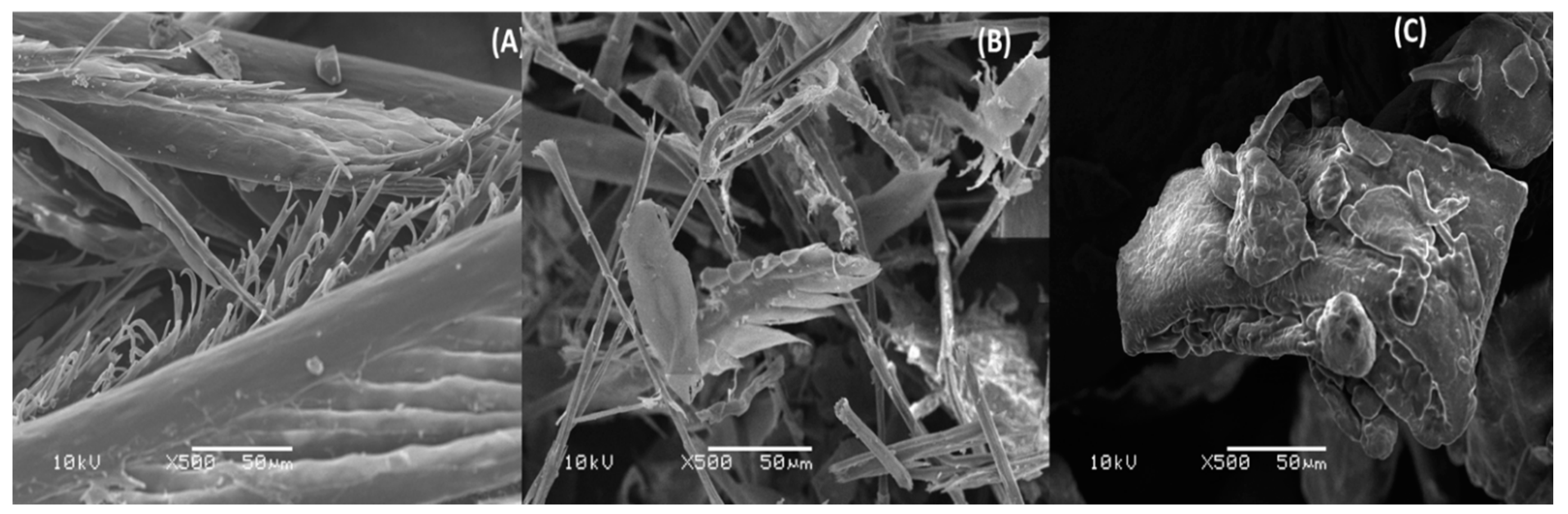 Animals 11 03553 g001