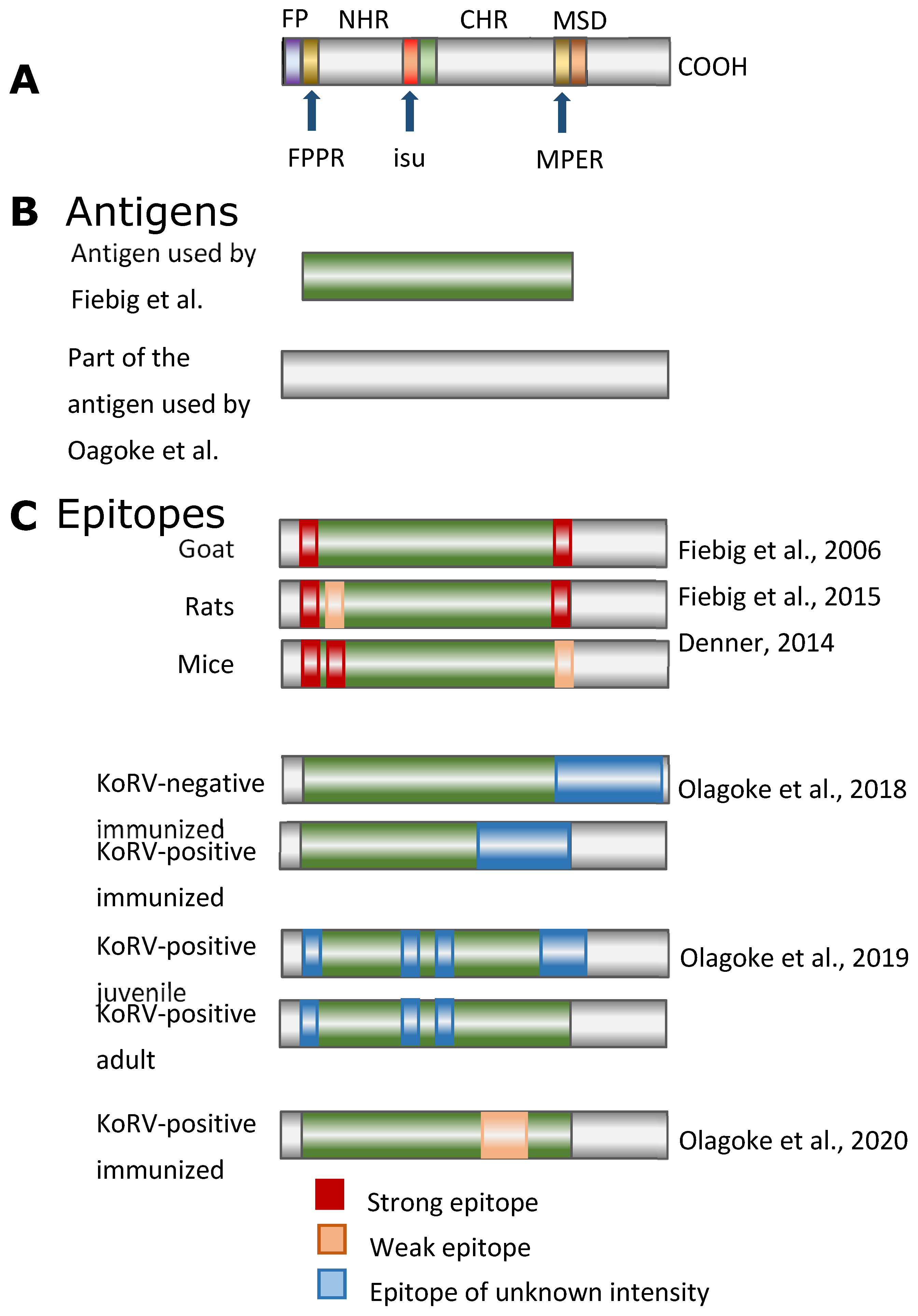 Animals 11 03555 g002 Animals 11 03555 g002