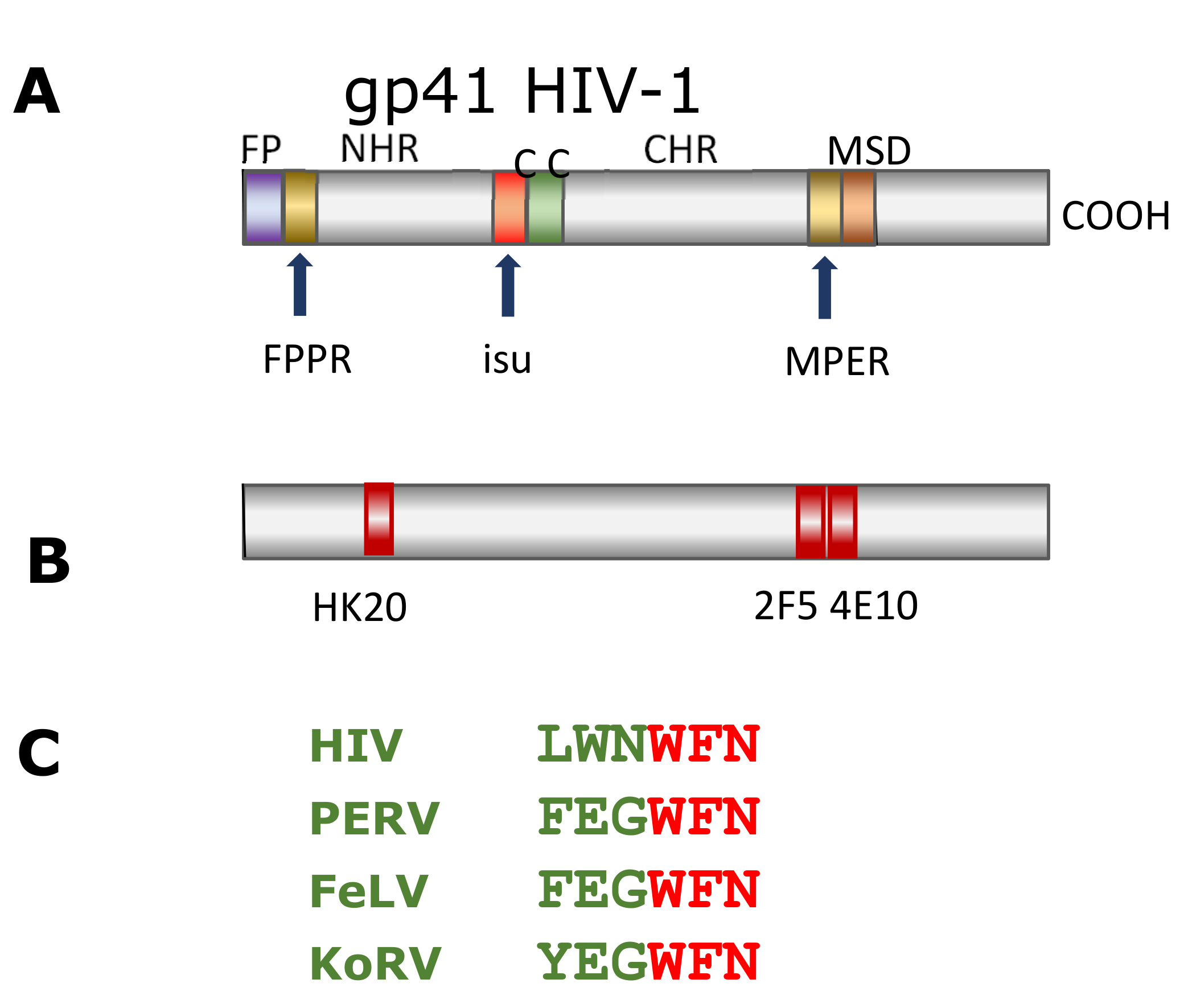 Animals 11 03555 g004 Animals 11 03555 g004