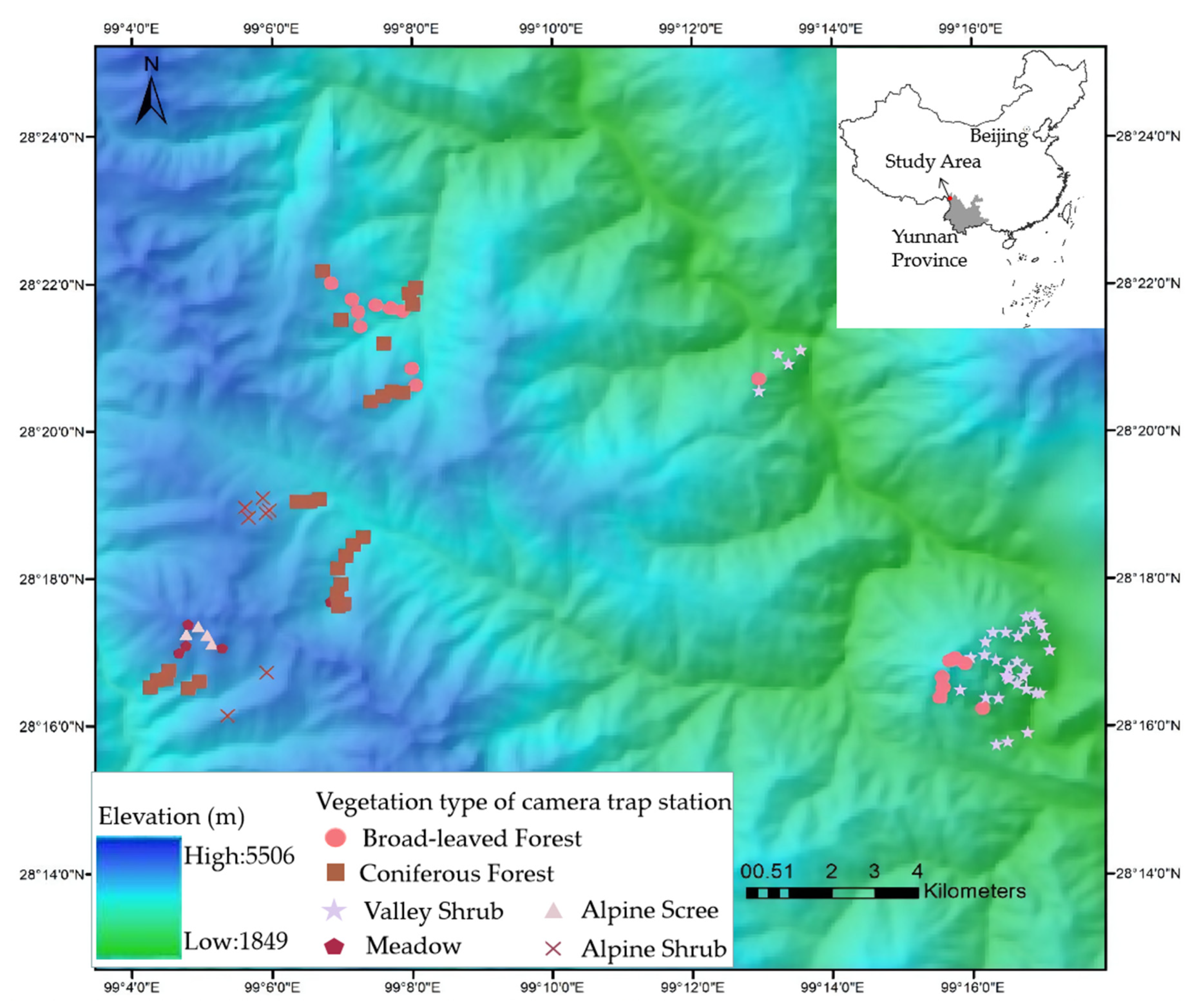 The Discontinuous Elevational Distribution of an Ungulate at