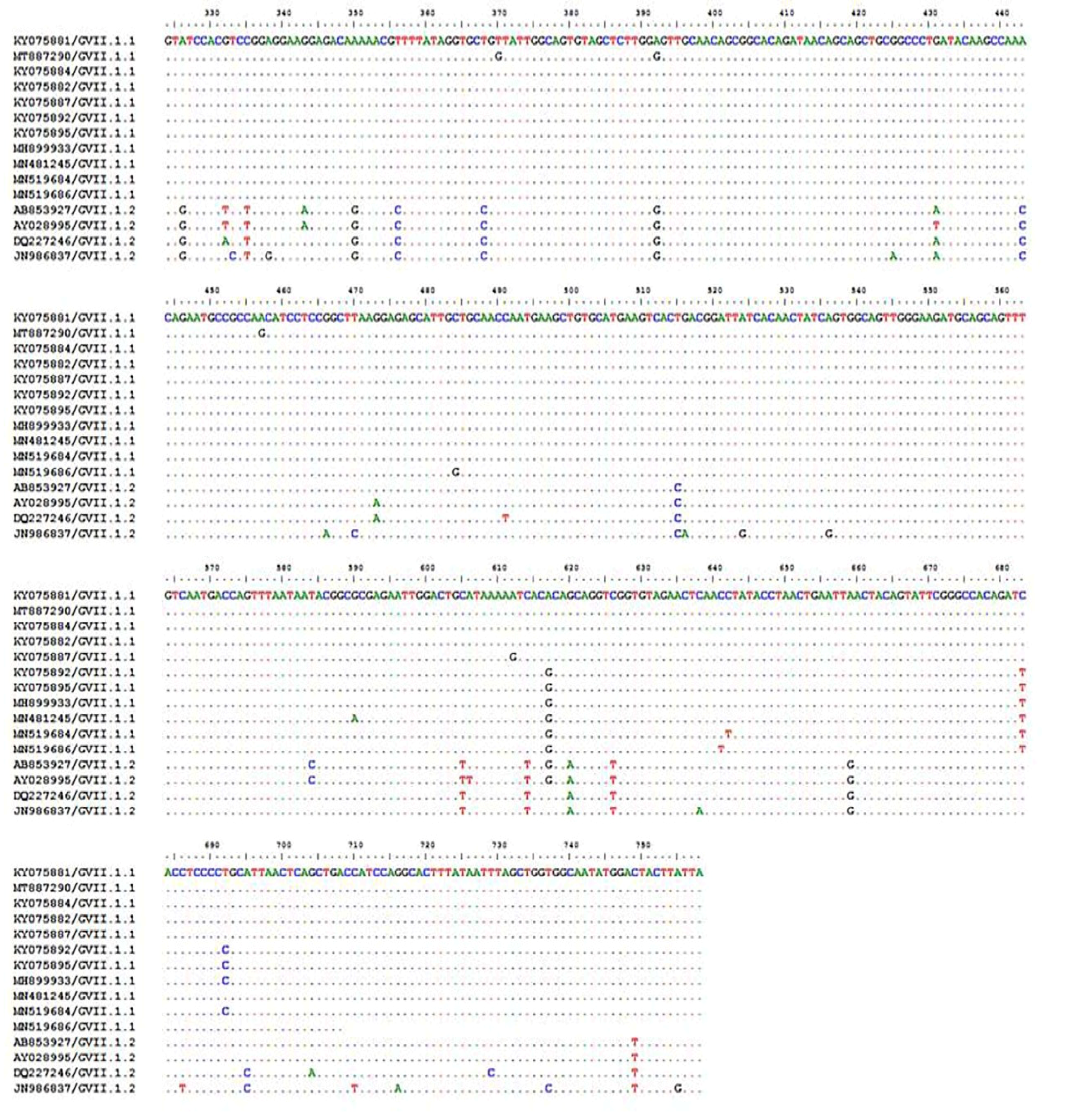 Animals 11 03567 g004