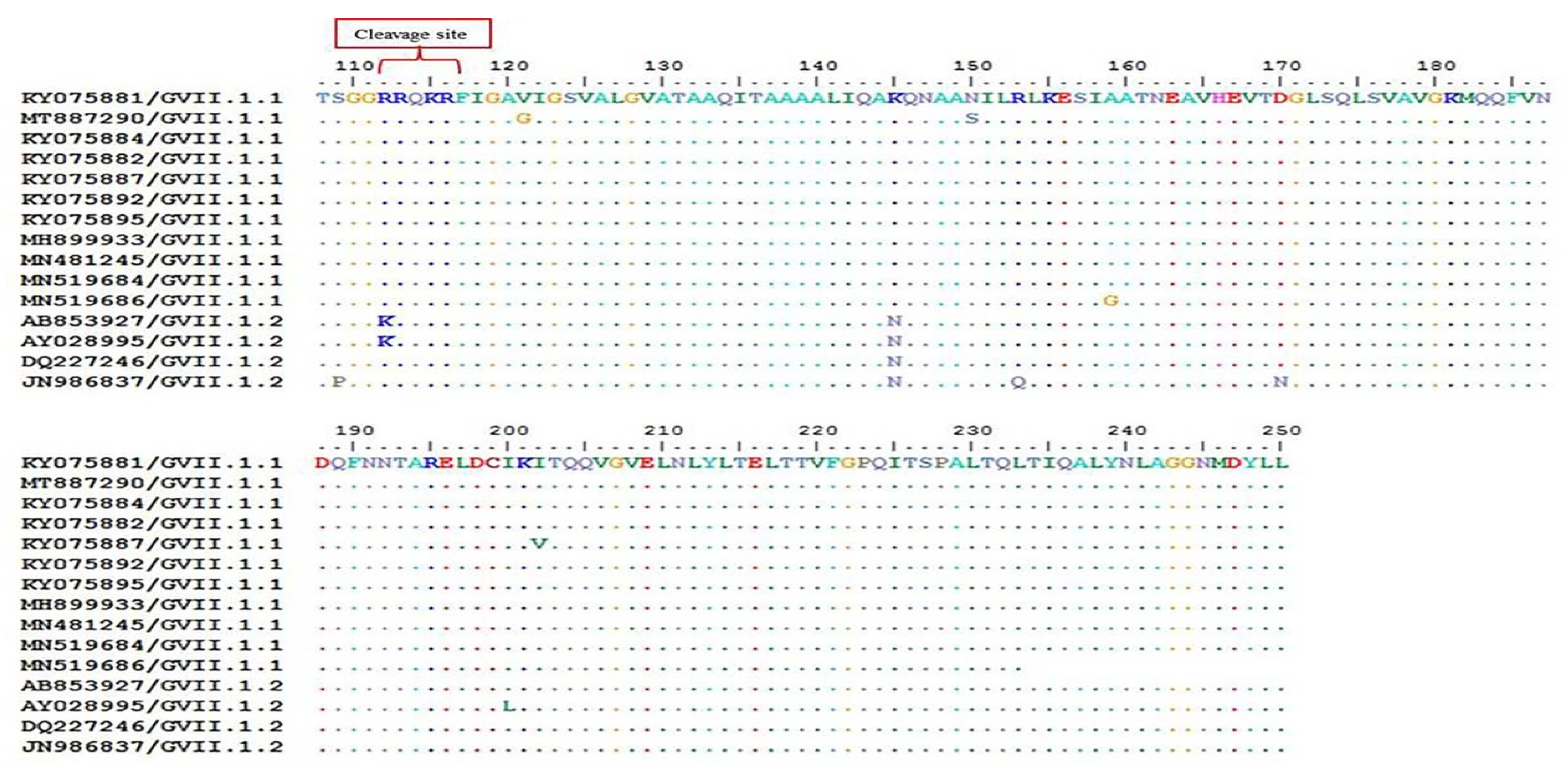 Animals 11 03567 g005