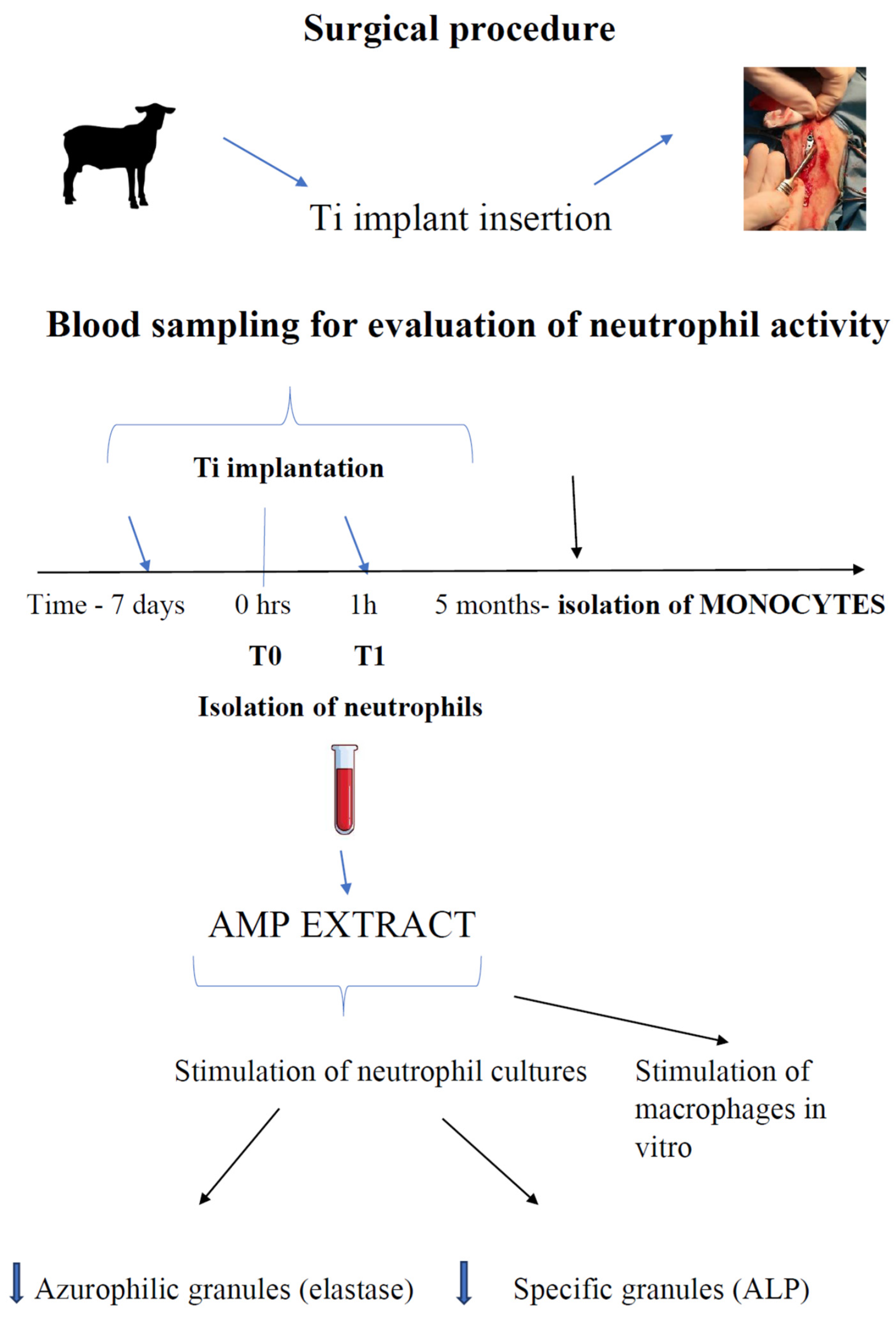 Animals 11 03569 g002