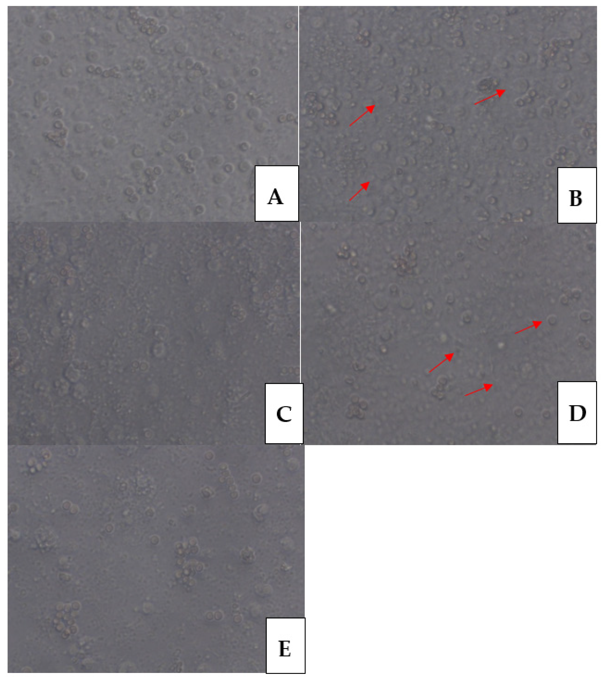 Animals 11 03569 g009