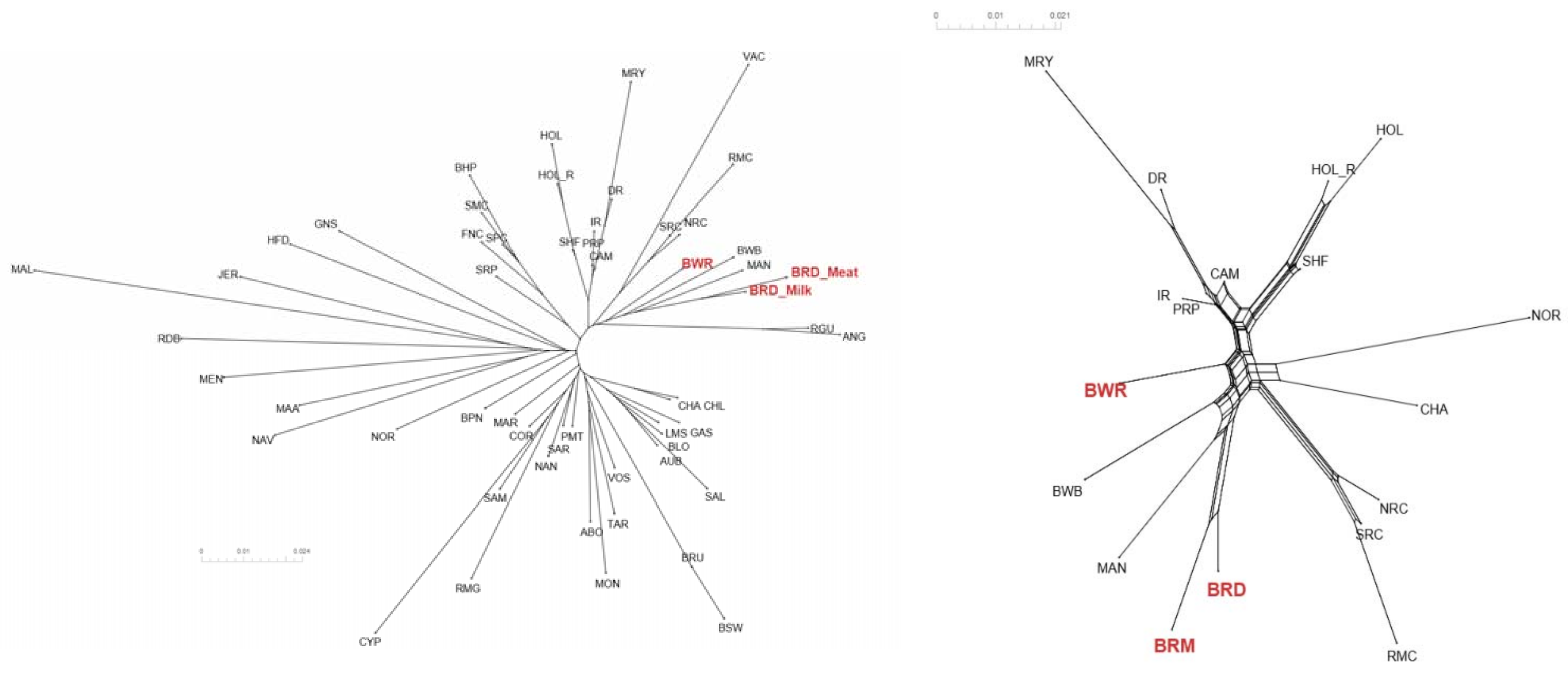 Animals 11 03574 g003 550